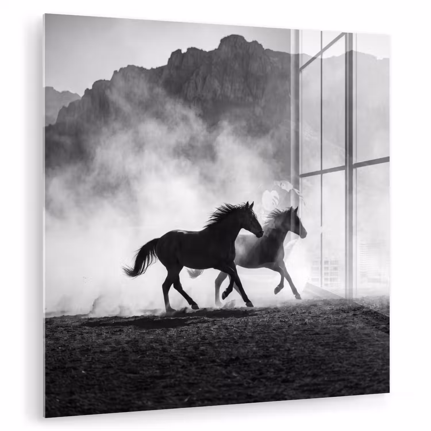 Paard - Ren - Stof - Zwart-wit - Dieren plexiglas 5mm klein -zzzproduct_nieuw