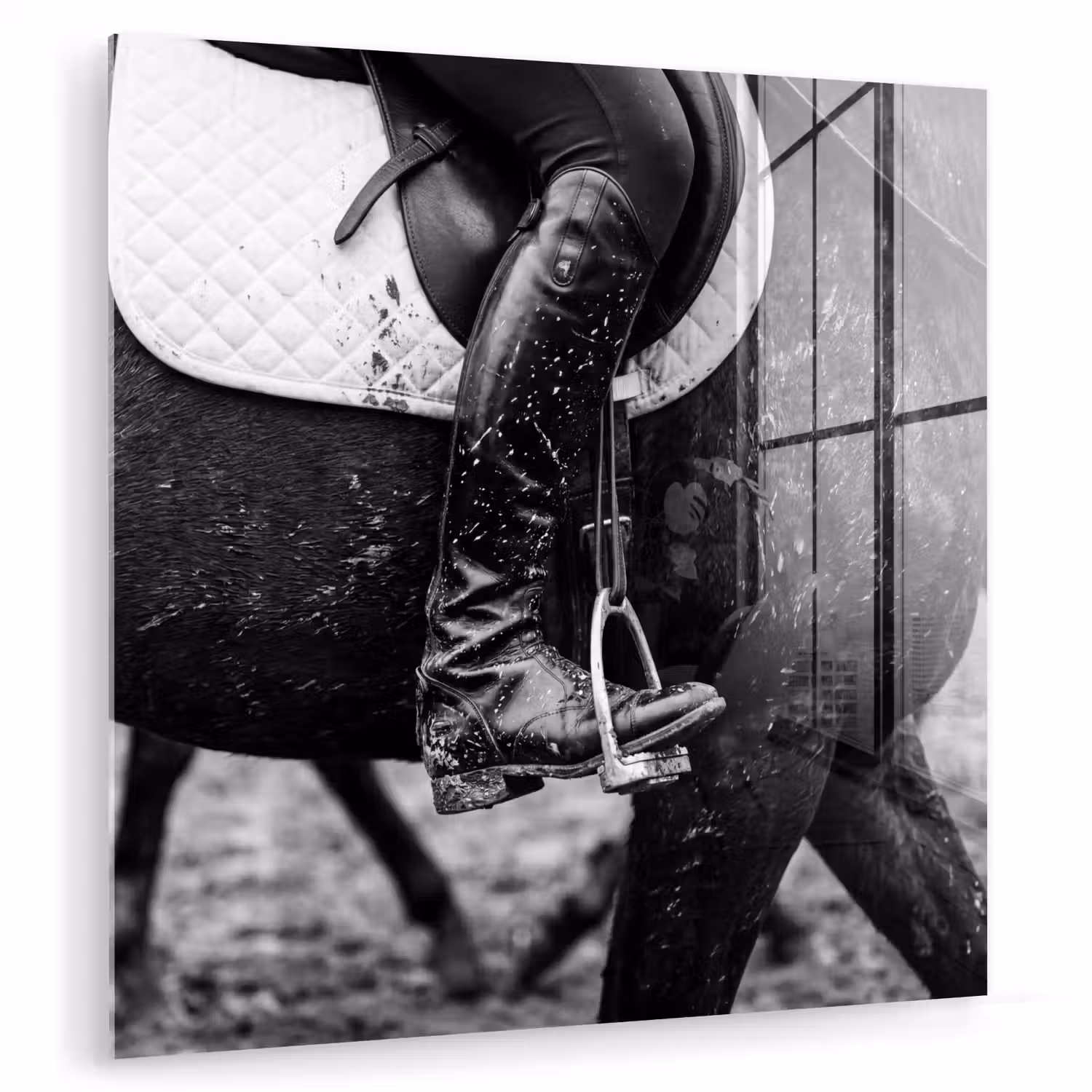 Paard - Sport - Zwart - Wit plexiglas 5mm klein -zzzproduct_nieuw