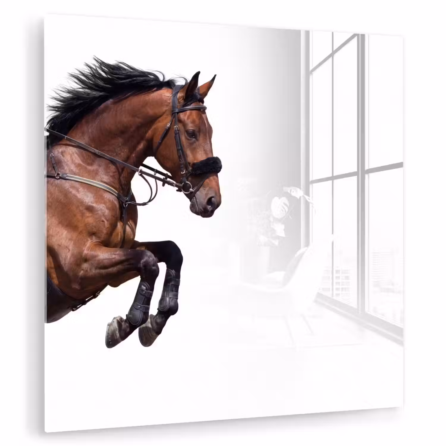 Paard - Springen - Modern plexiglas 5mm klein -zzzproduct_nieuw