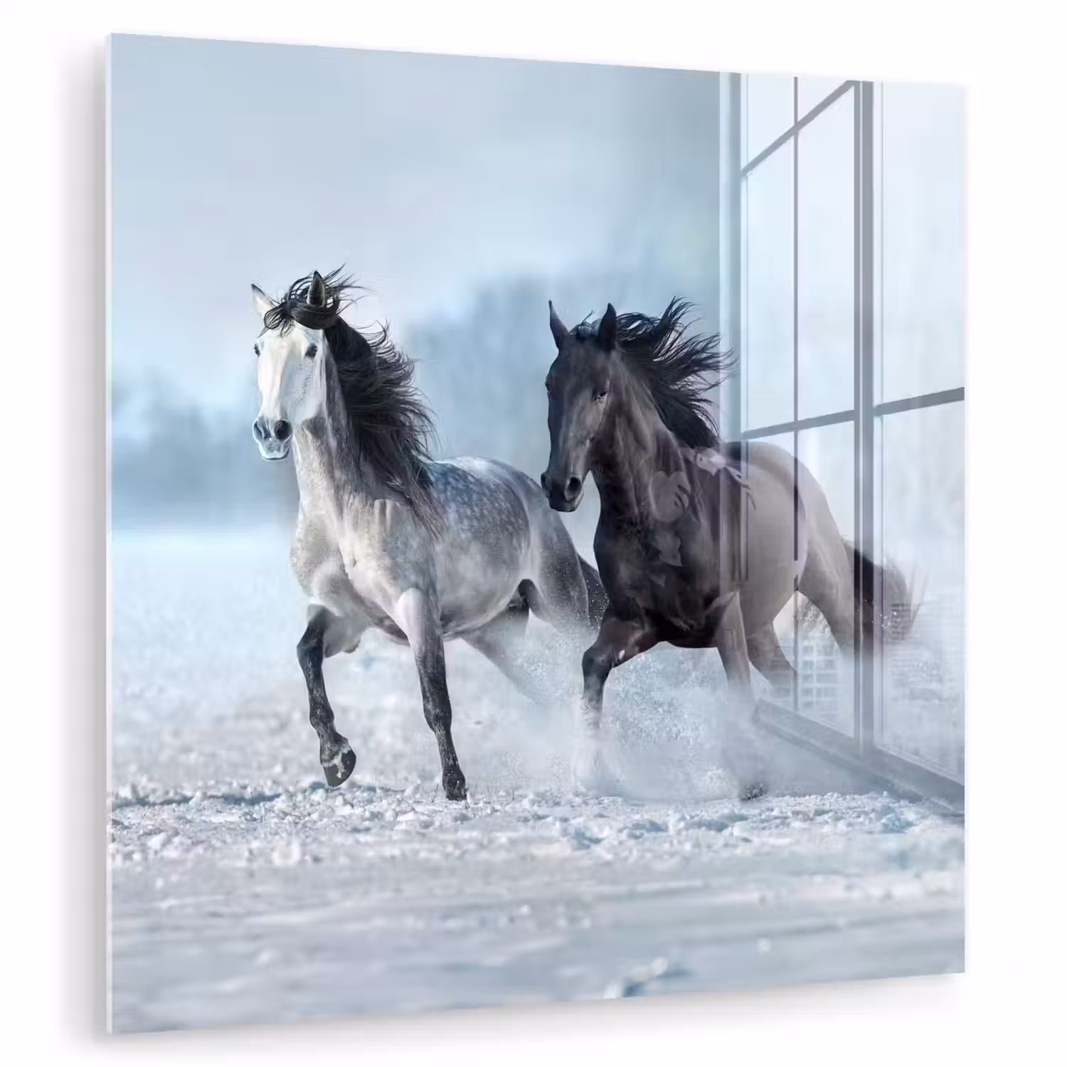 Paarden - Winter - Dieren - Natuur - Sneeuw plexiglas 5mm klein -zzzproduct_nieuw