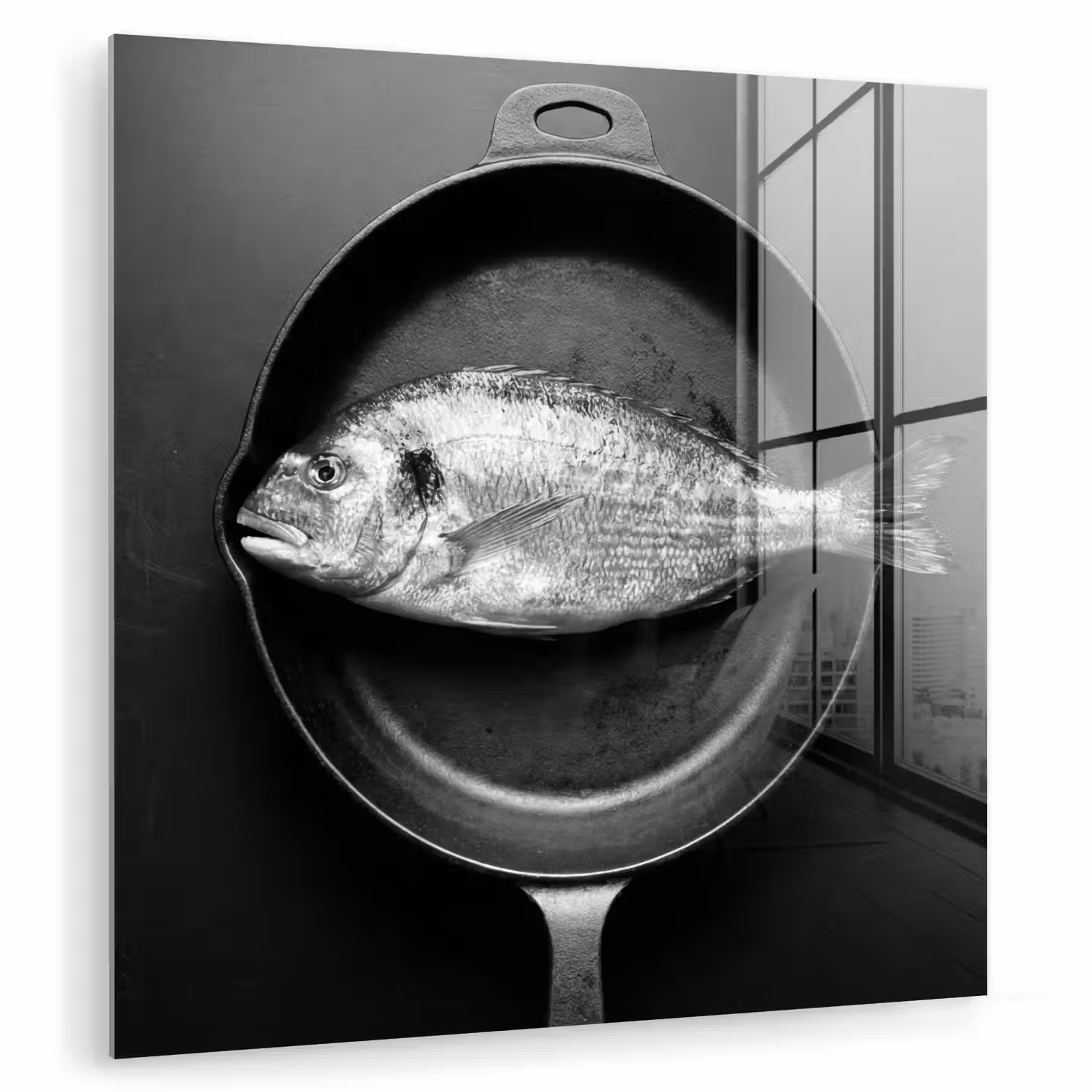 Pan - Vis - Zwart - Wit plexiglas 5mm klein -zzzproduct_nieuw