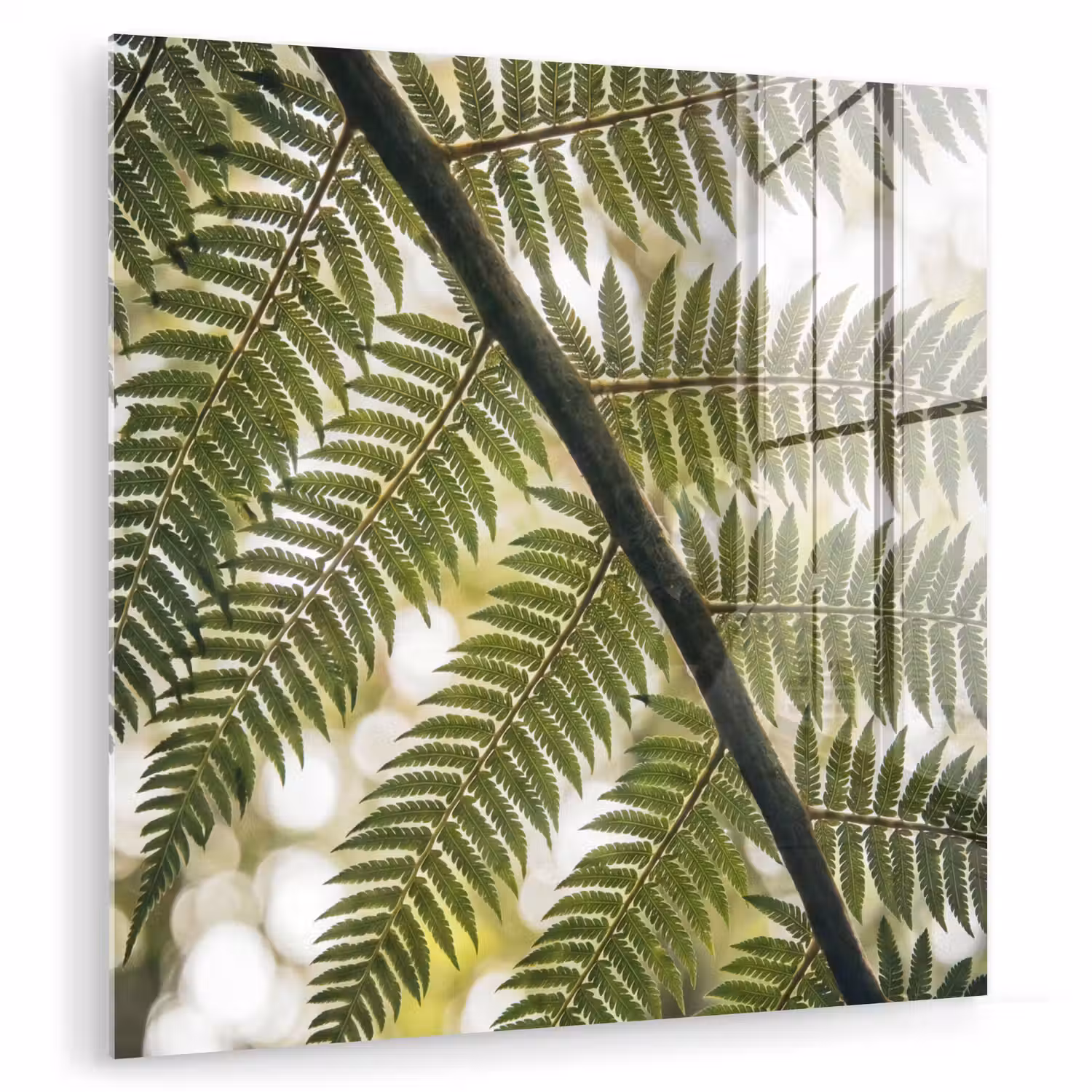Plant - Blad - Natuur - Groen - Detail plexiglas 5mm klein -zzzproduct_nieuw