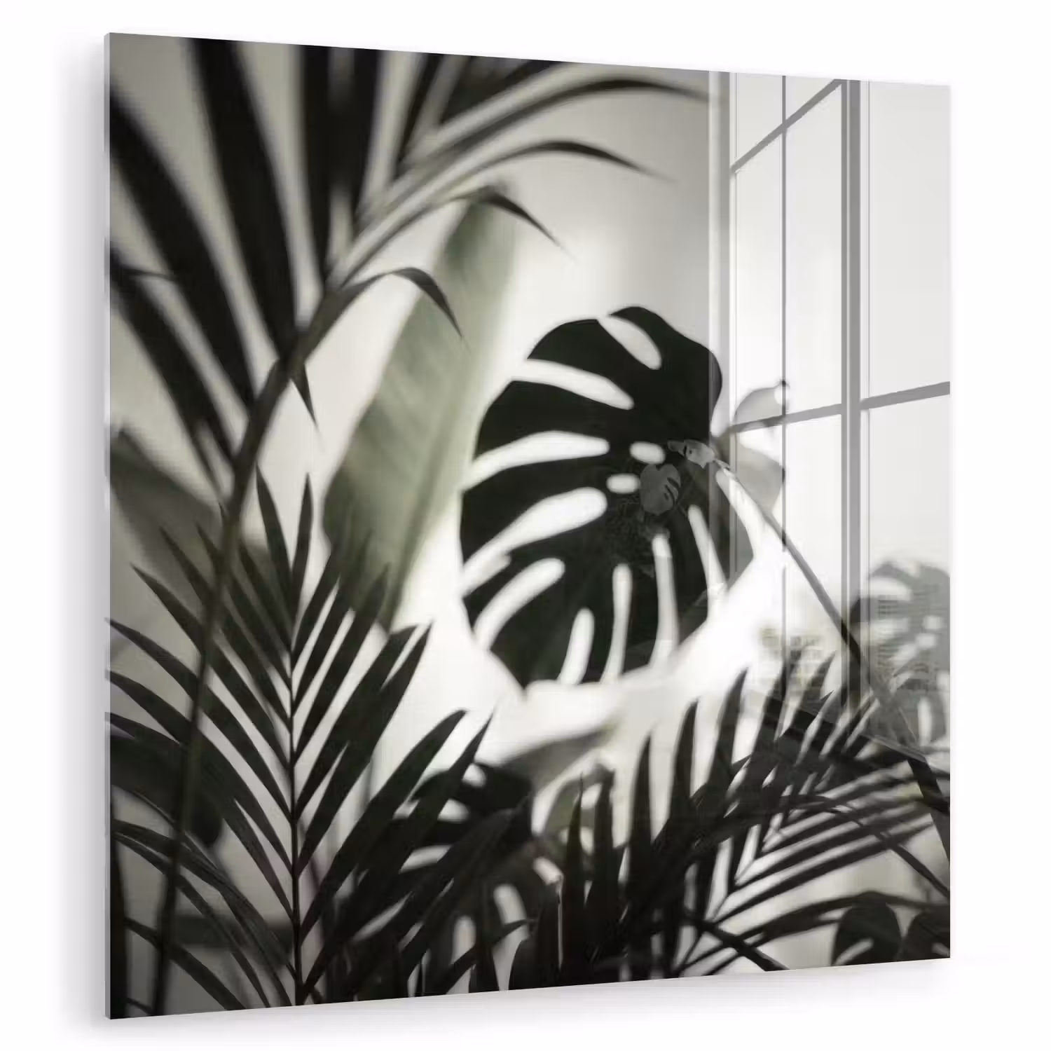 Planten - Bladeren - Natuur - Minimalistisch - Groen plexiglas 5mm klein -zzzproduct_nieuw