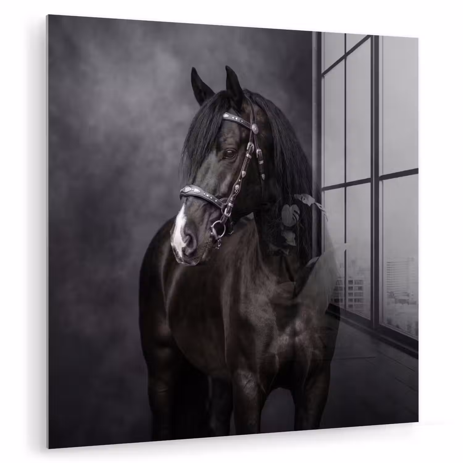 Portret - Paard - Zwart plexiglas 5mm klein -zzzproduct_nieuw