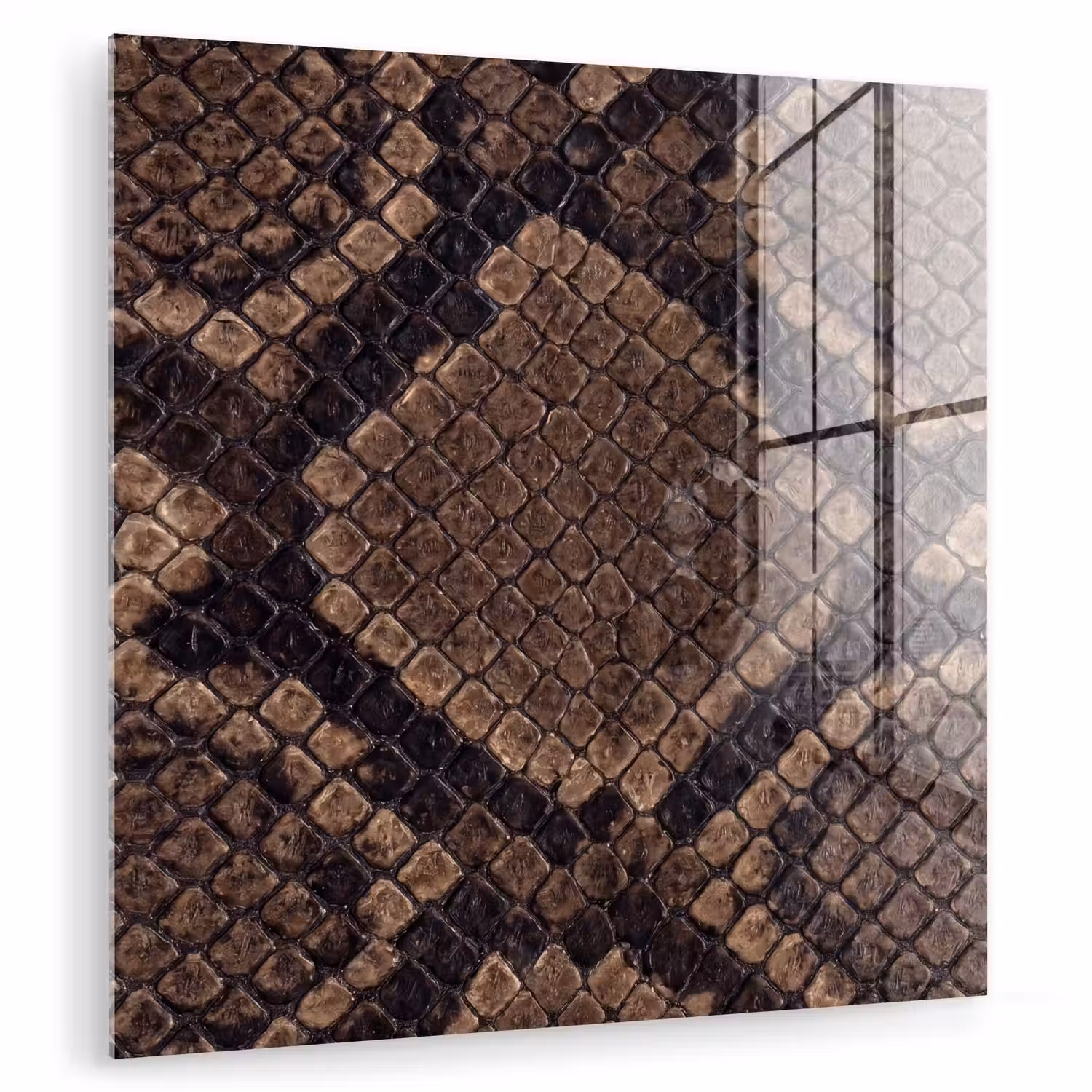 Python - Schubben - Brons plexiglas 5mm klein -zzzproduct_nieuw