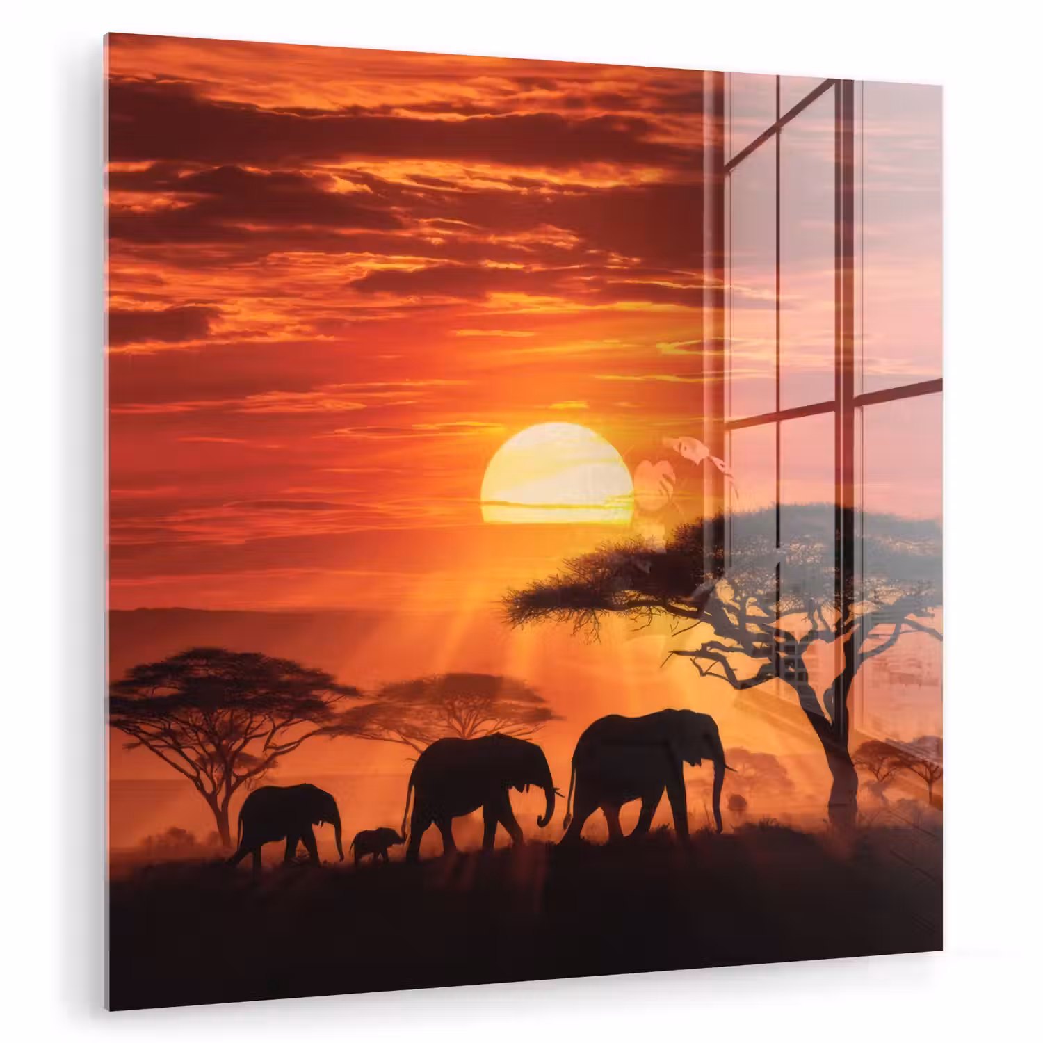 Savanne - Olifanten - Zonsondergang plexiglas 5mm klein -zzzproduct_nieuw