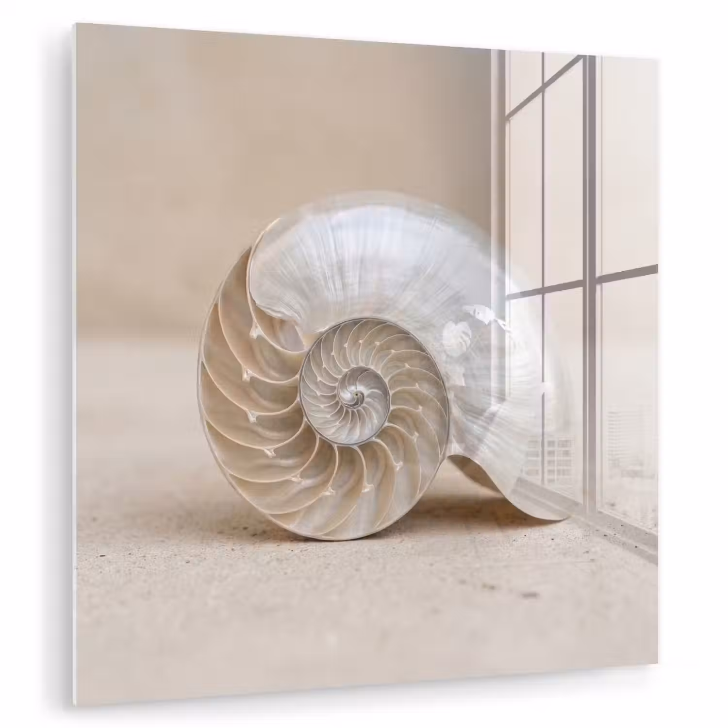 Schelp - Spiraal - Beige plexiglas 5mm klein -zzzproduct_nieuw