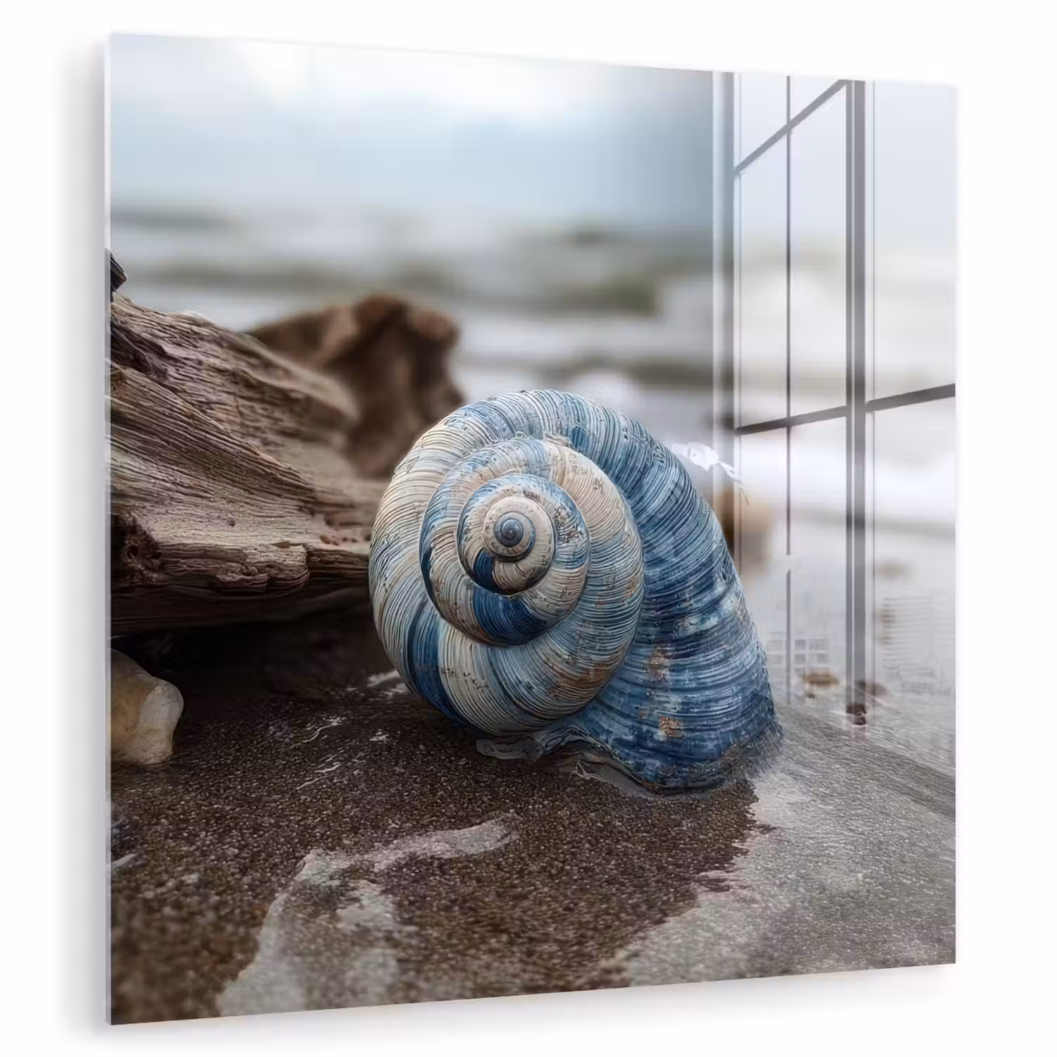 Schelp - Strand - Blauw - Zee plexiglas 5mm klein -zzzproduct_nieuw