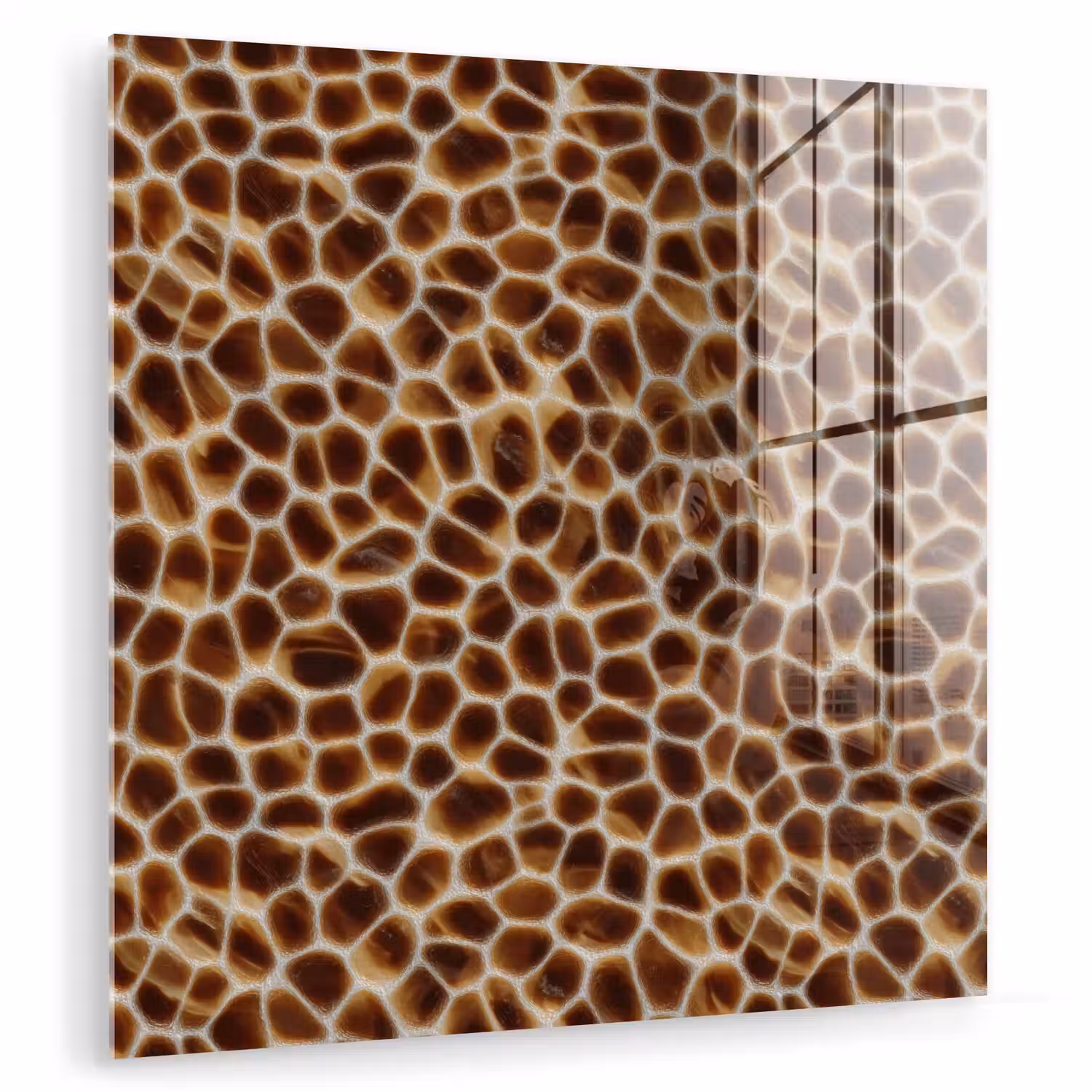 Schildpad - Bruin - Patroon plexiglas 5mm klein 11 -zzzproduct_nieuw