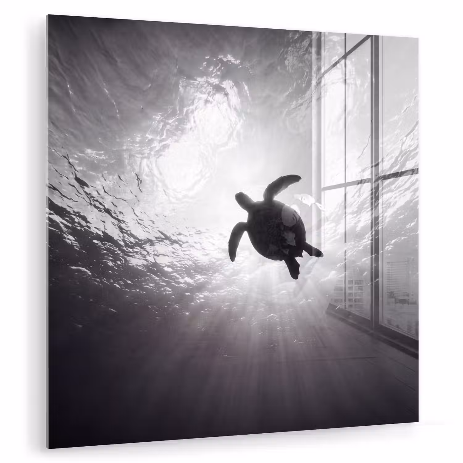 Schildpad - Onderwater - Lichtstralen - Oceaan - Zwart-wit plexiglas 5mm klein -zzzproduct_nieuw