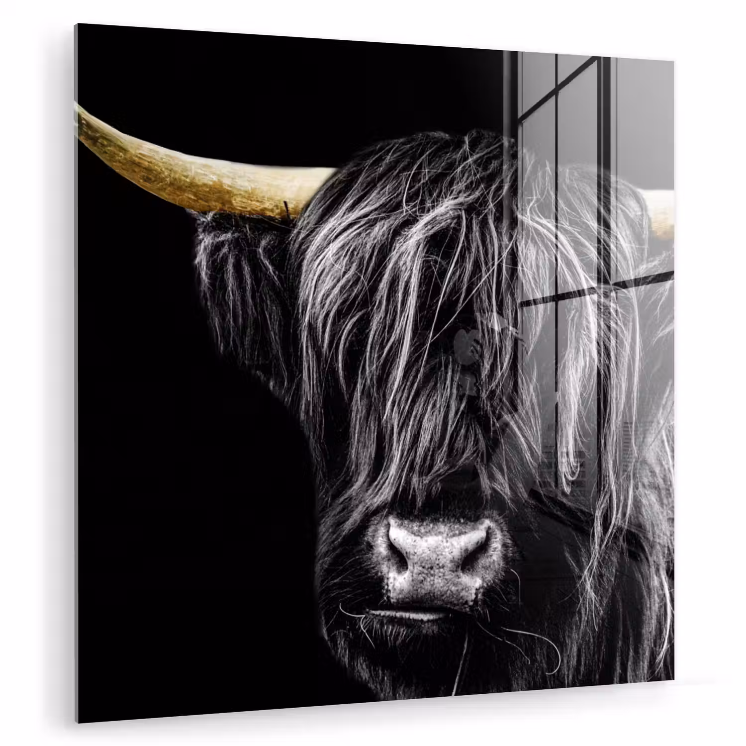 Schotse hooglander - Goud - Vacht - Dieren - Koe plexiglas 5mm klein -zzzproduct_nieuw