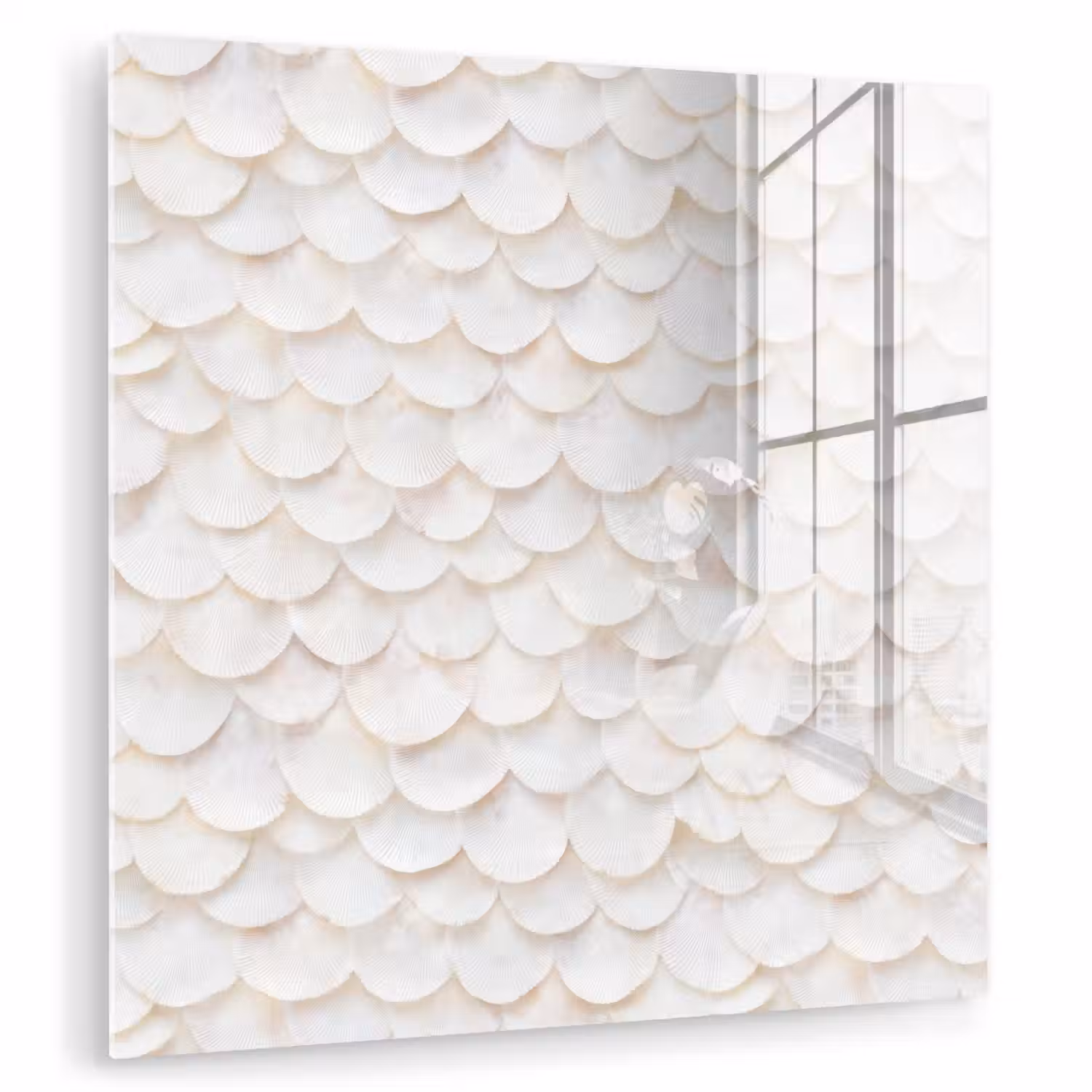 Schubben - Wit - Elegant plexiglas 5mm klein 11 -zzzproduct_nieuw