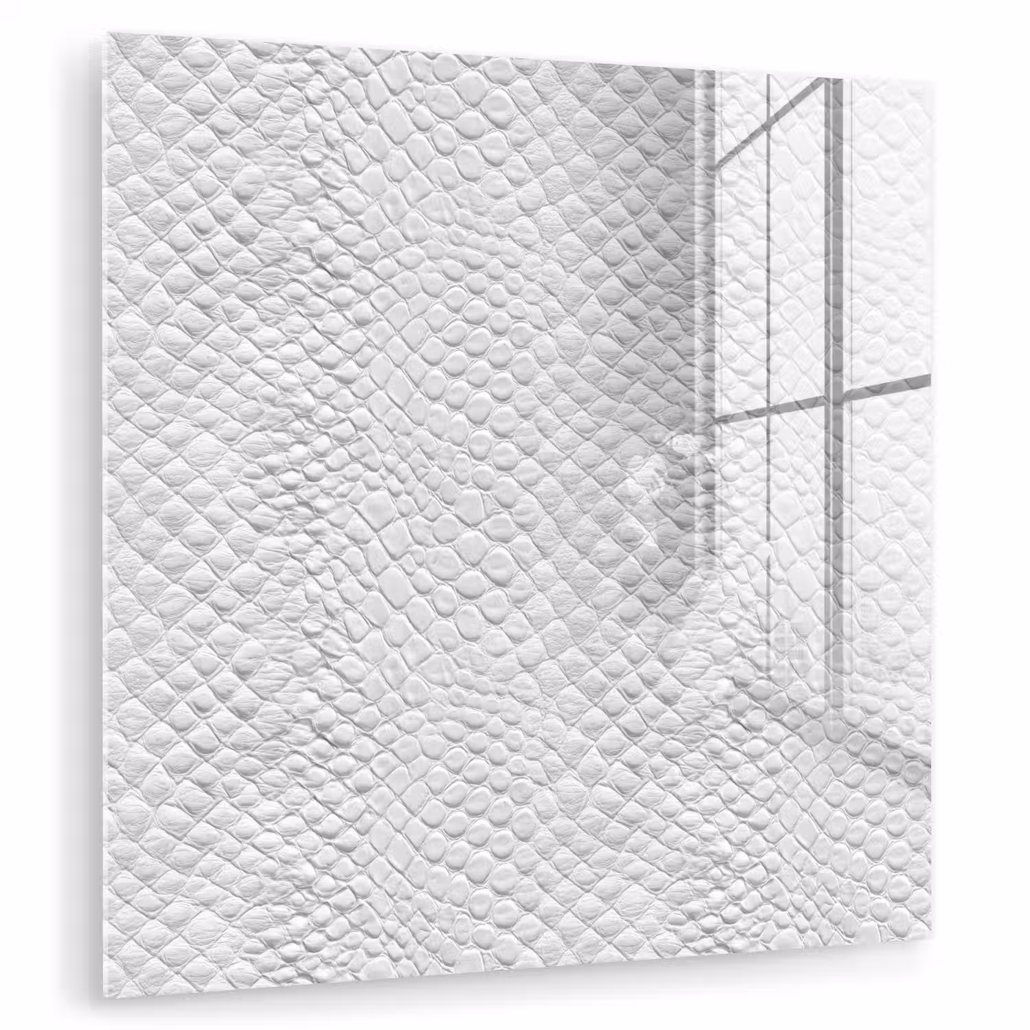 Slang - Patroon - Wit plexiglas 5mm klein 11 -zzzproduct_nieuw