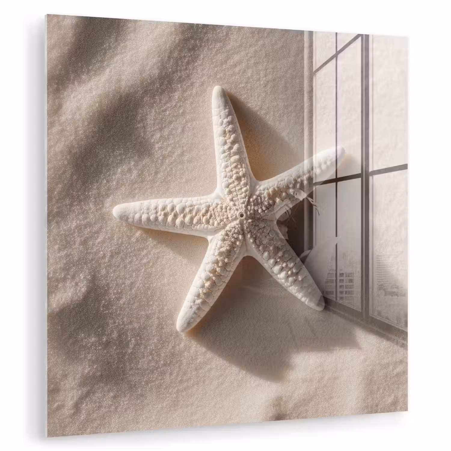 Strand - Zeester - Zand - Beige plexiglas 5mm klein -zzzproduct_nieuw