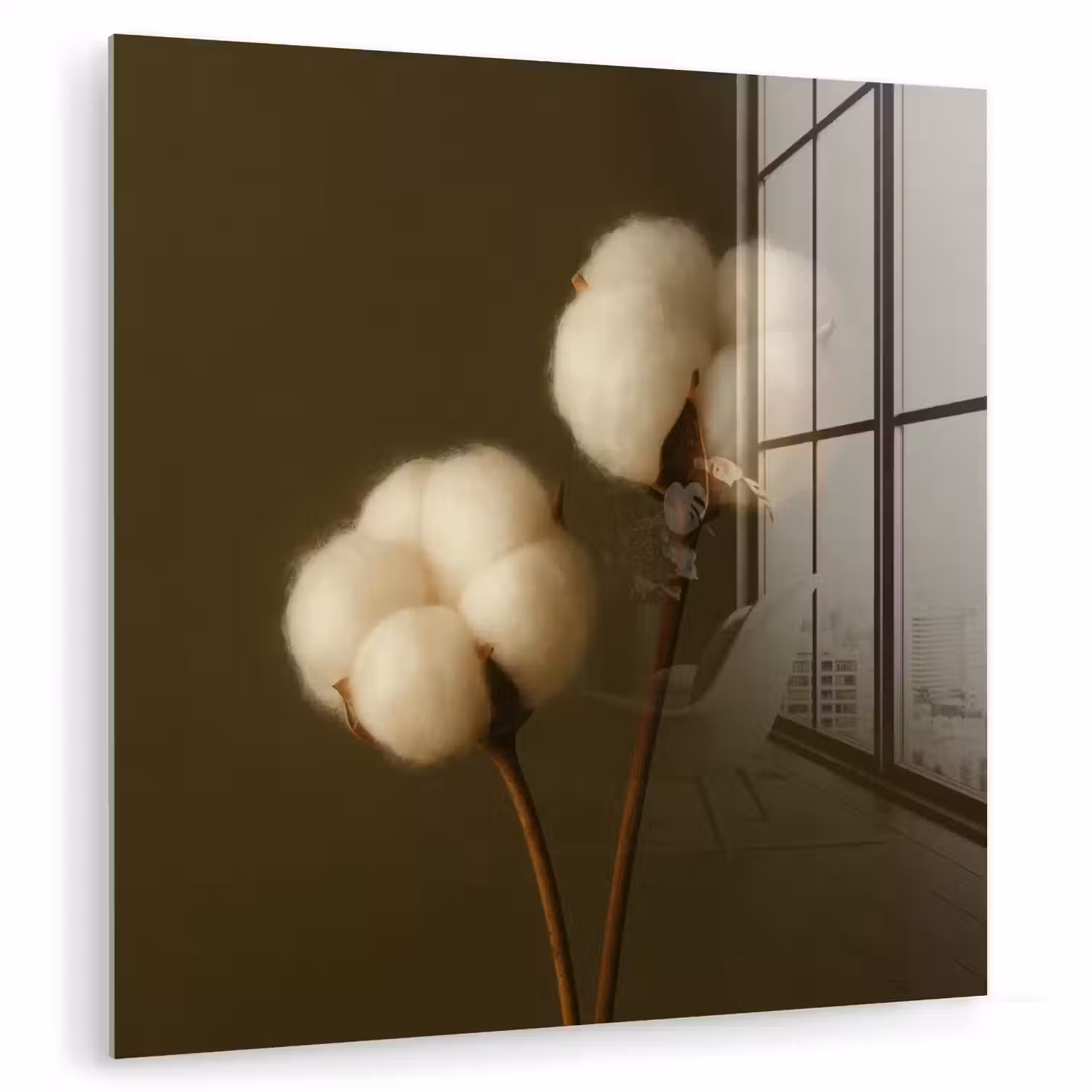 Takken - Katoen - Wit - Bollen plexiglas 5mm klein -zzzproduct_nieuw