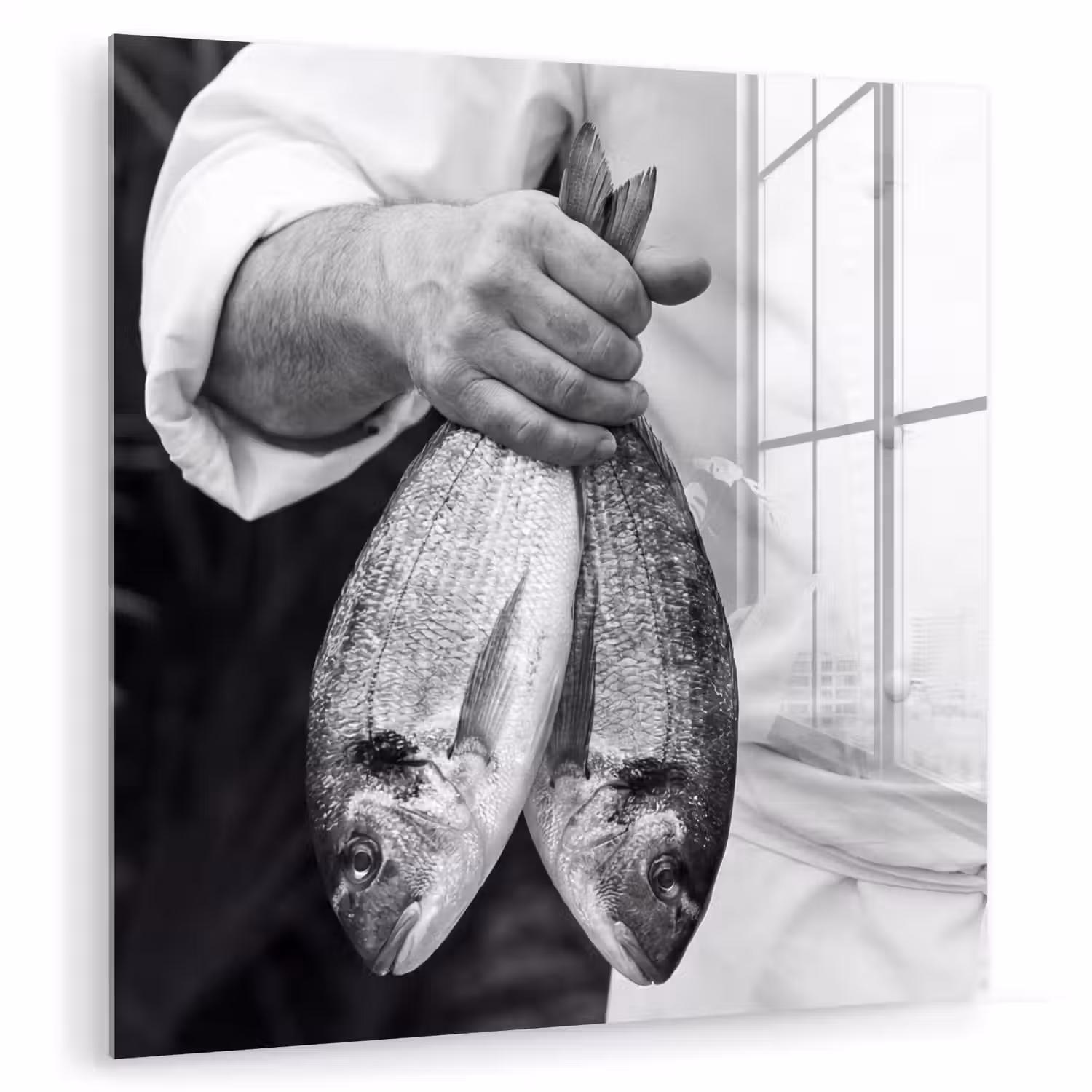 Vissen - Chef - Zwart - Wit plexiglas 5mm klein -zzzproduct_nieuw