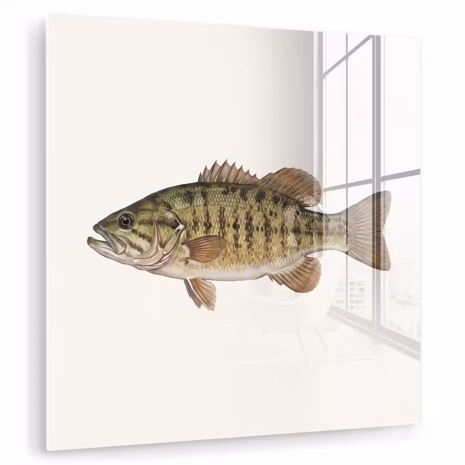 Vissen - Natuur - Vintage plexiglas 5mm klein -zzzproduct_nieuw