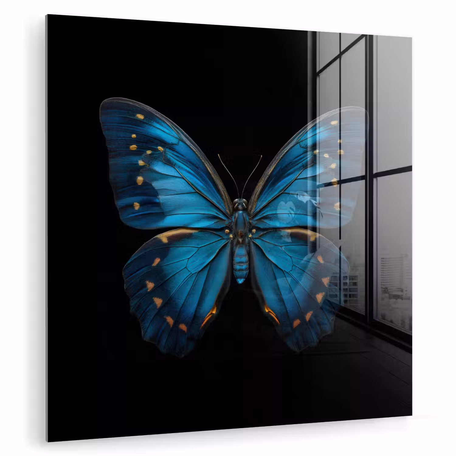 Vlinder - Blauw - Contrast plexiglas 5mm klein -zzzproduct_nieuw