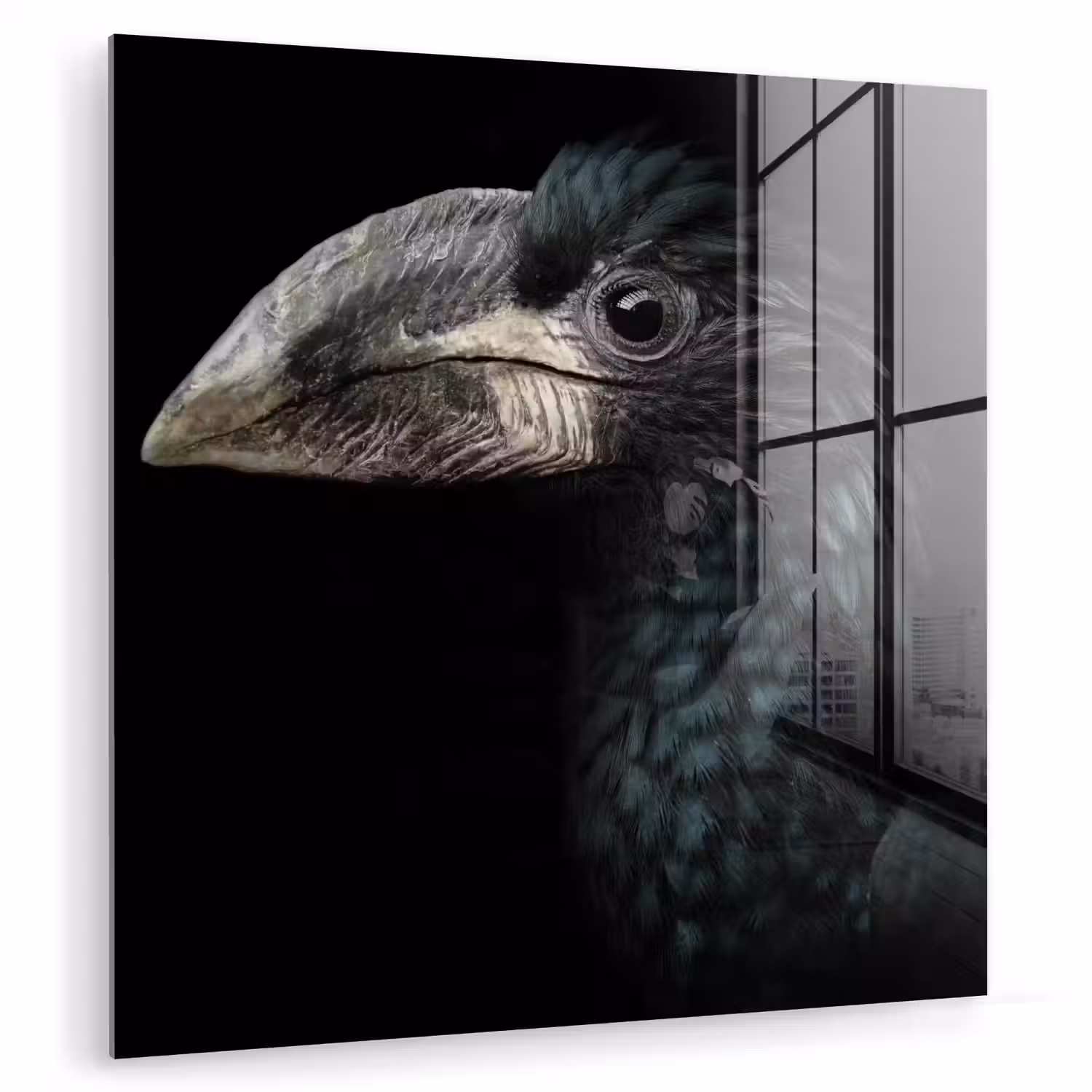 Vogel - Portret - Neushoornvogel - Zwart - Dieren plexiglas 5mm klein -zzzproduct_nieuw