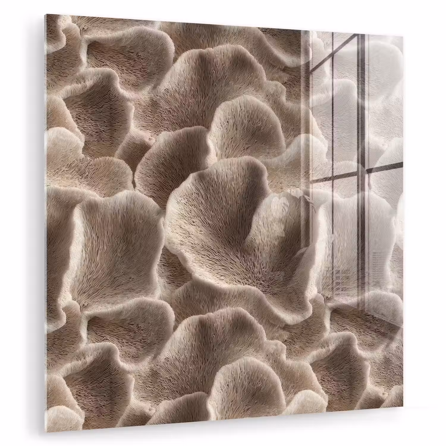 Waaiervorm - Beige - Vezel textuur plexiglas 5mm klein 11 -zzzproduct_nieuw