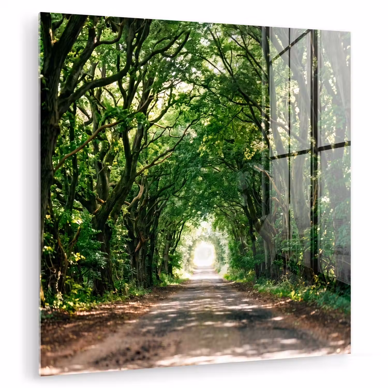 Weg - Bomen - Natuur - Groen plexiglas 5mm klein -zzzproduct_nieuw