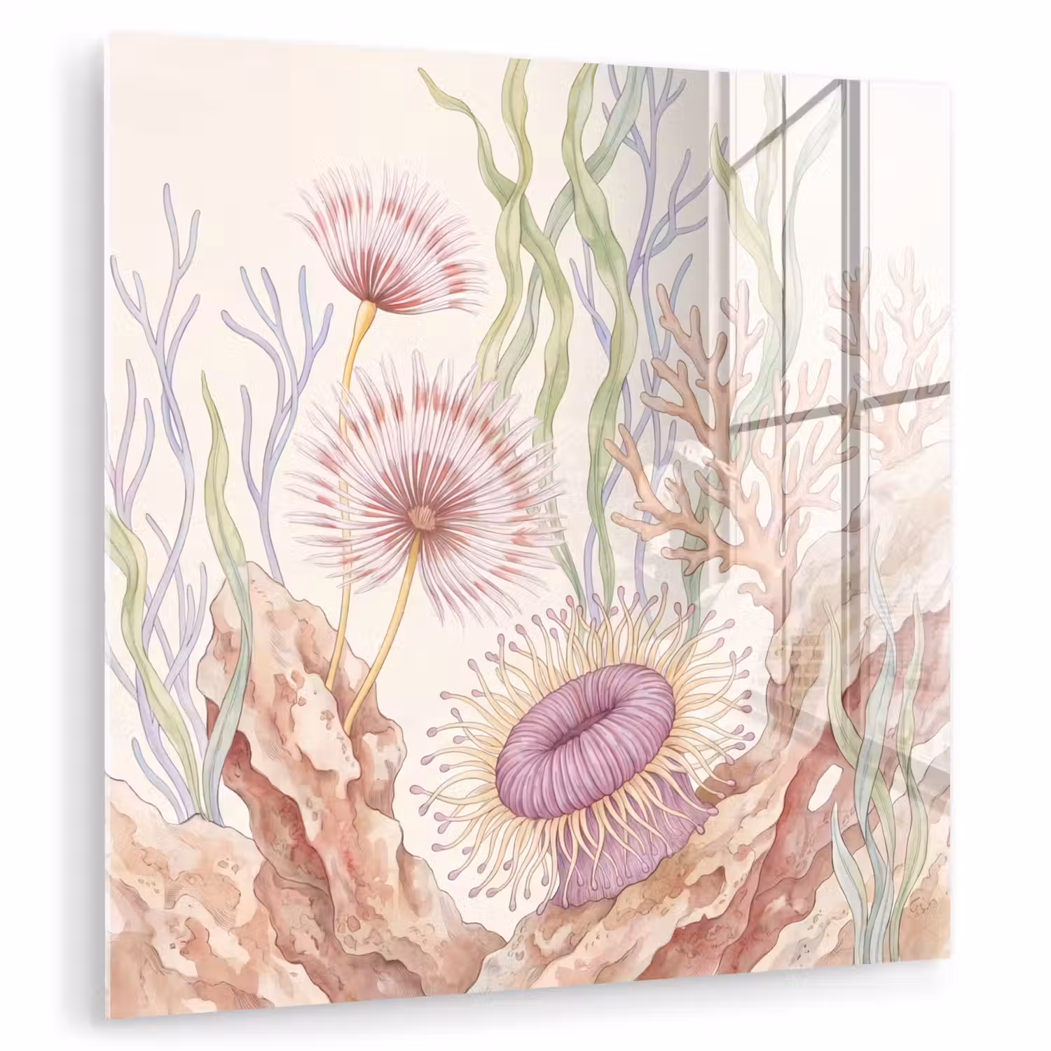Zeeleven - Koraal - Onderwater - Illustratie - Kleurrijk plexiglas 5mm klein -zzzproduct_nieuw