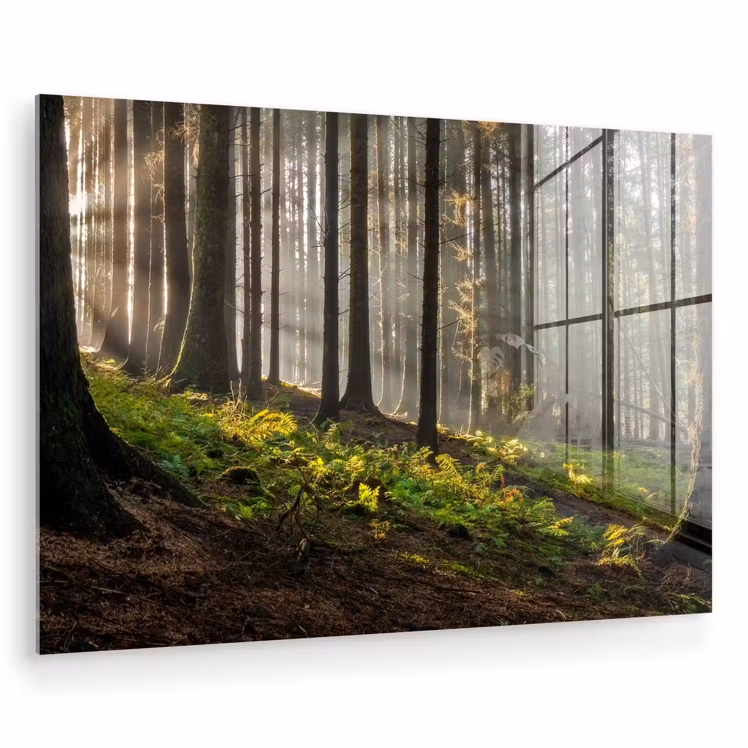 Zon - Takken - Bomen - Bos - Natuur plexiglas 5mm klein -zzzproduct_nieuw