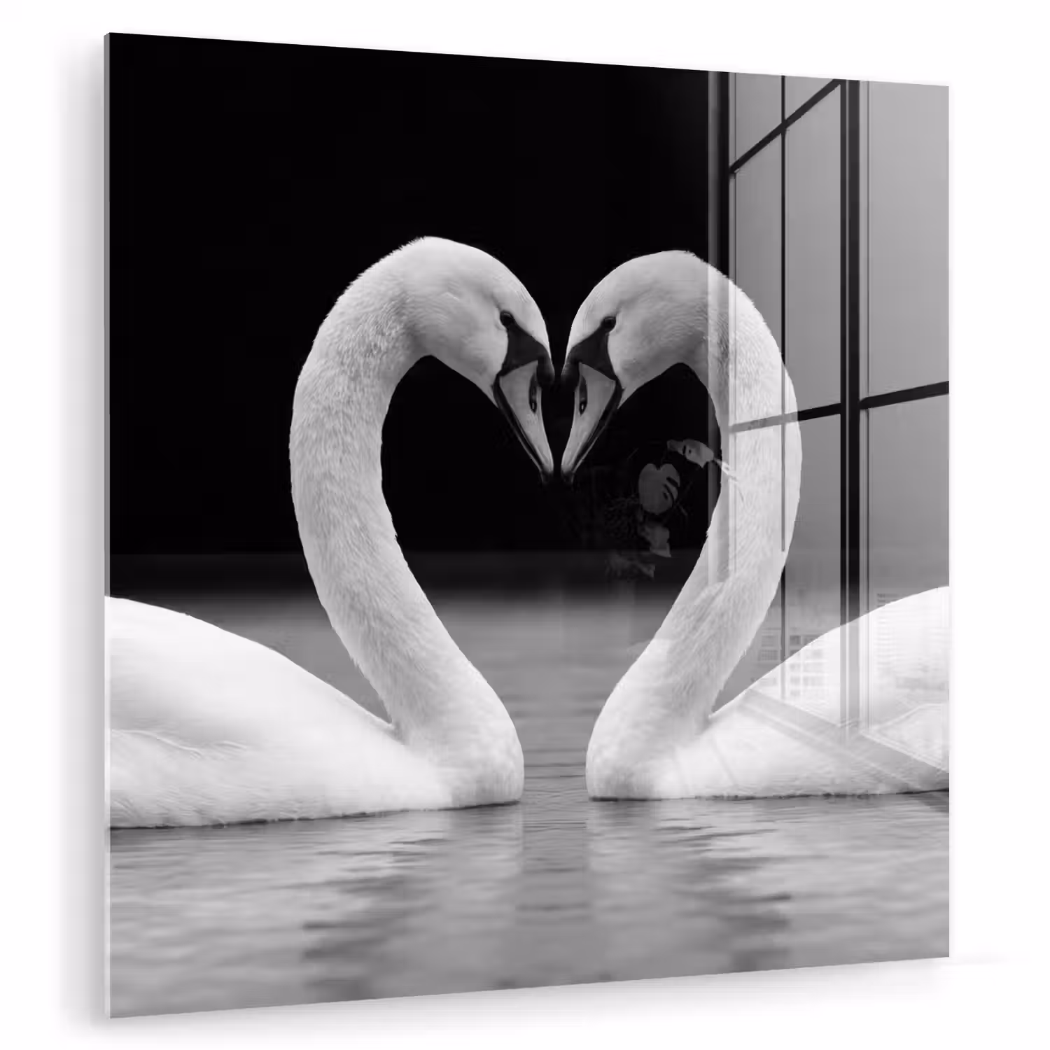 Zwanen - Hart - Zwart - Wit plexiglas 5mm klein -zzzproduct_nieuw