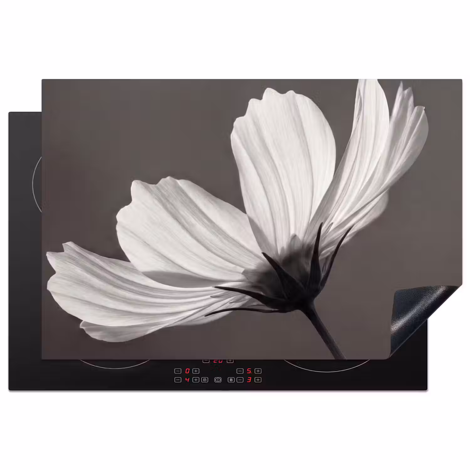 Bloem - Minimalistisch - Zwart - Wit Inductie beschermer vinyl 3mm klein -3d