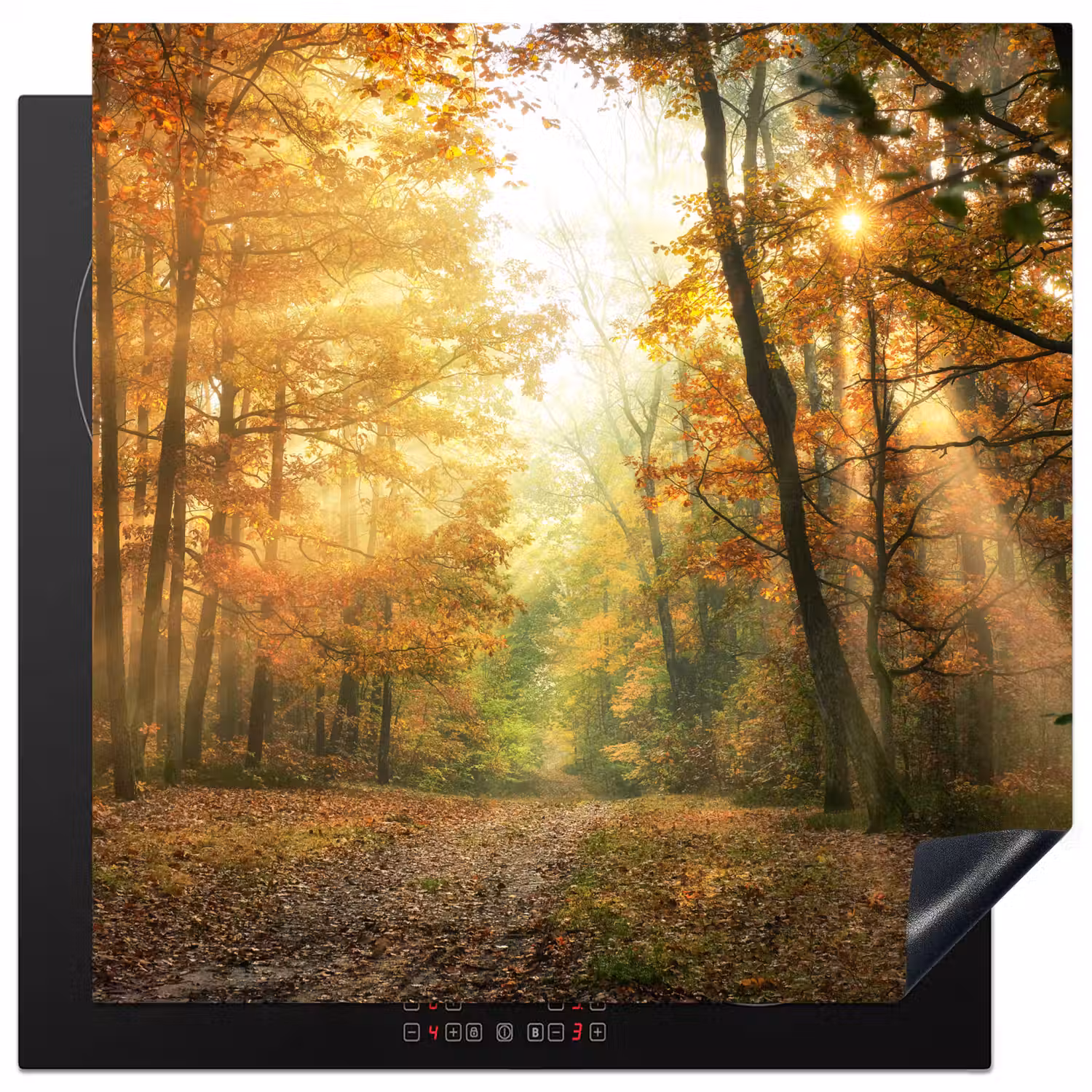 Bos - Herfst - Zon - Landschap - Natuur - Bomen - Bladeren Inductie beschermer vinyl 3mm middel -3d
