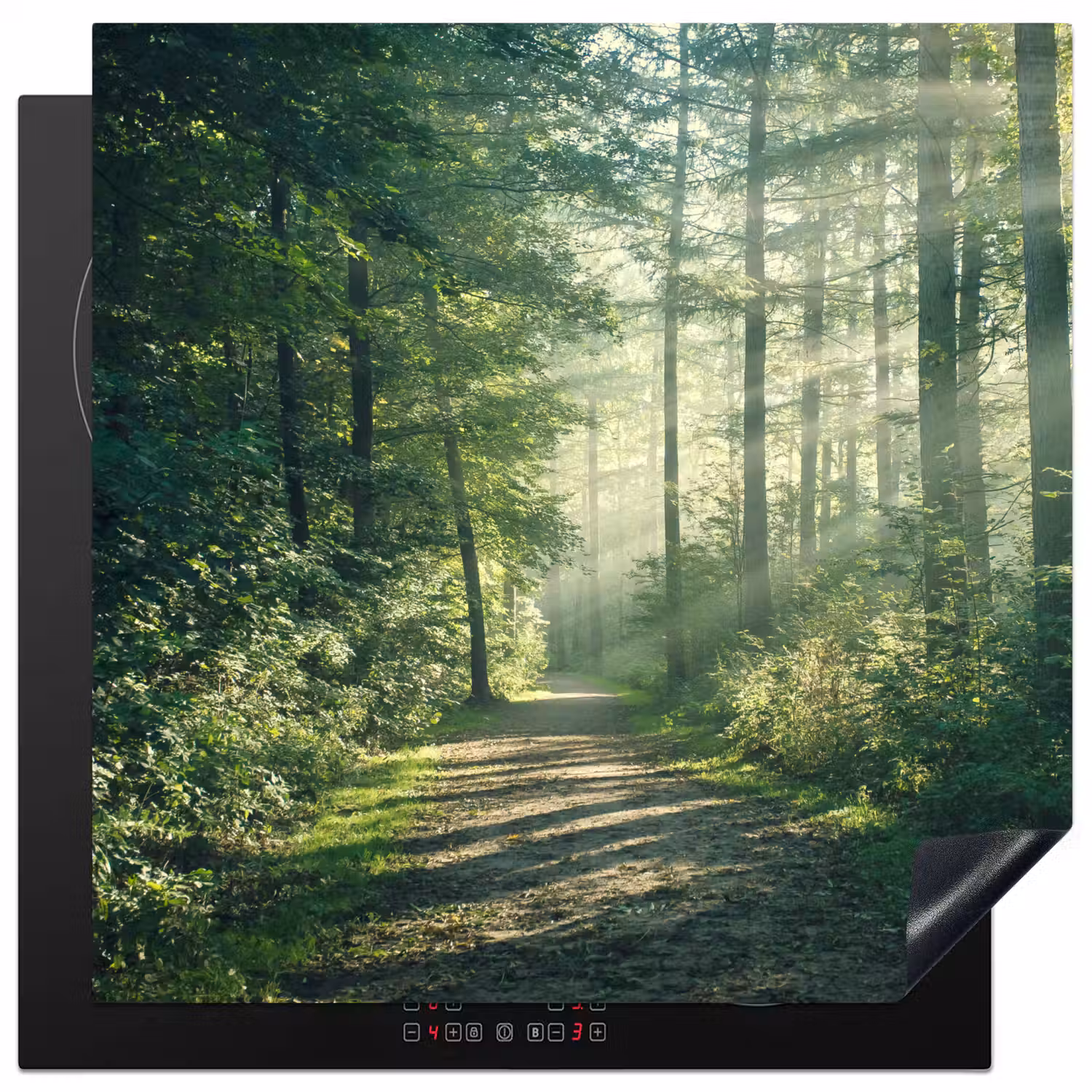 Bos - Pad - Zon - Bomen - Groen - Natuur Inductie beschermer vinyl 3mm middel -3d