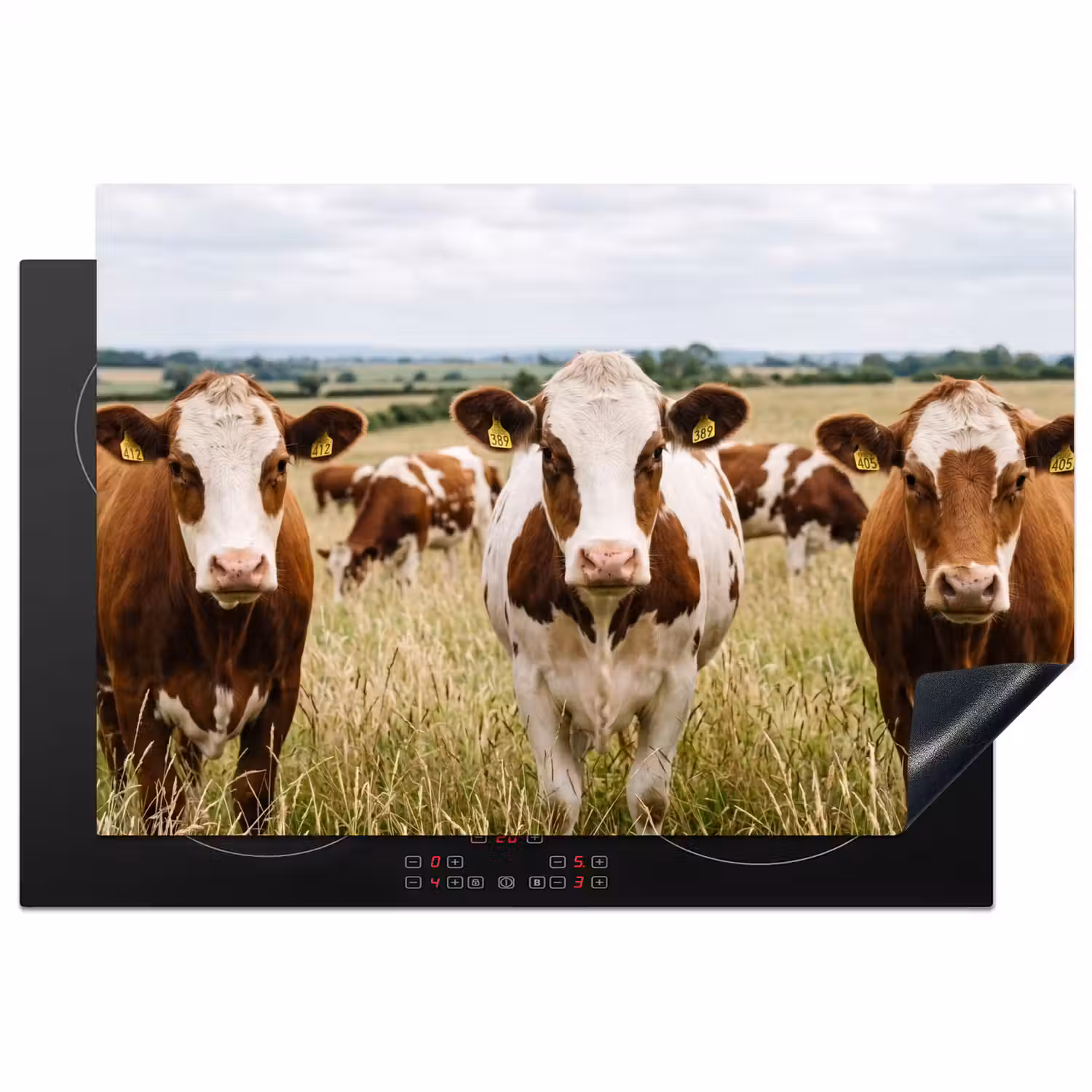 Koeien - Portret - Weide - Boerderij - Nieuwsgierig Inductie beschermer vinyl 3mm klein -3d