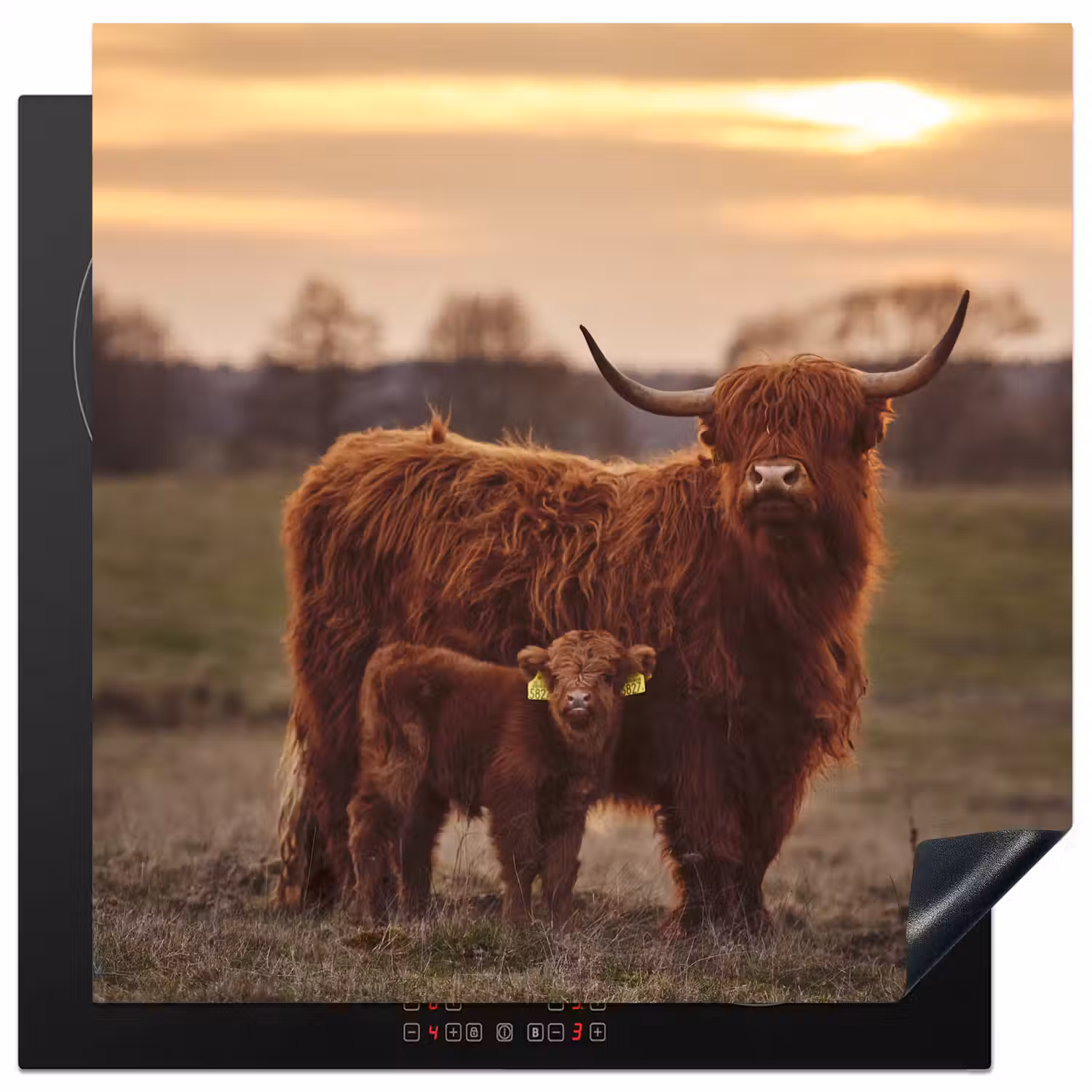 Schotse hooglander - Dieren - Landschap - Zonsondergang - Koe Inductie beschermer vinyl 3mm middel -3d