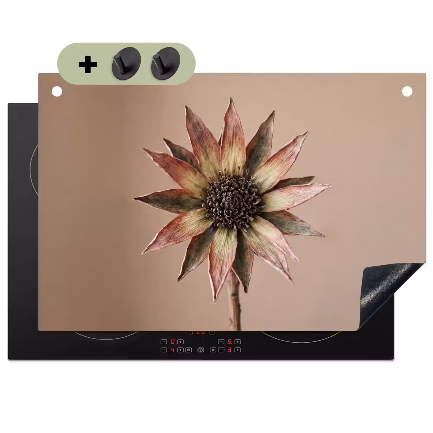 Droogbloem - Protea - Vintage - Beige - Rustiek Inductie beschemer met haakjes klein -3d