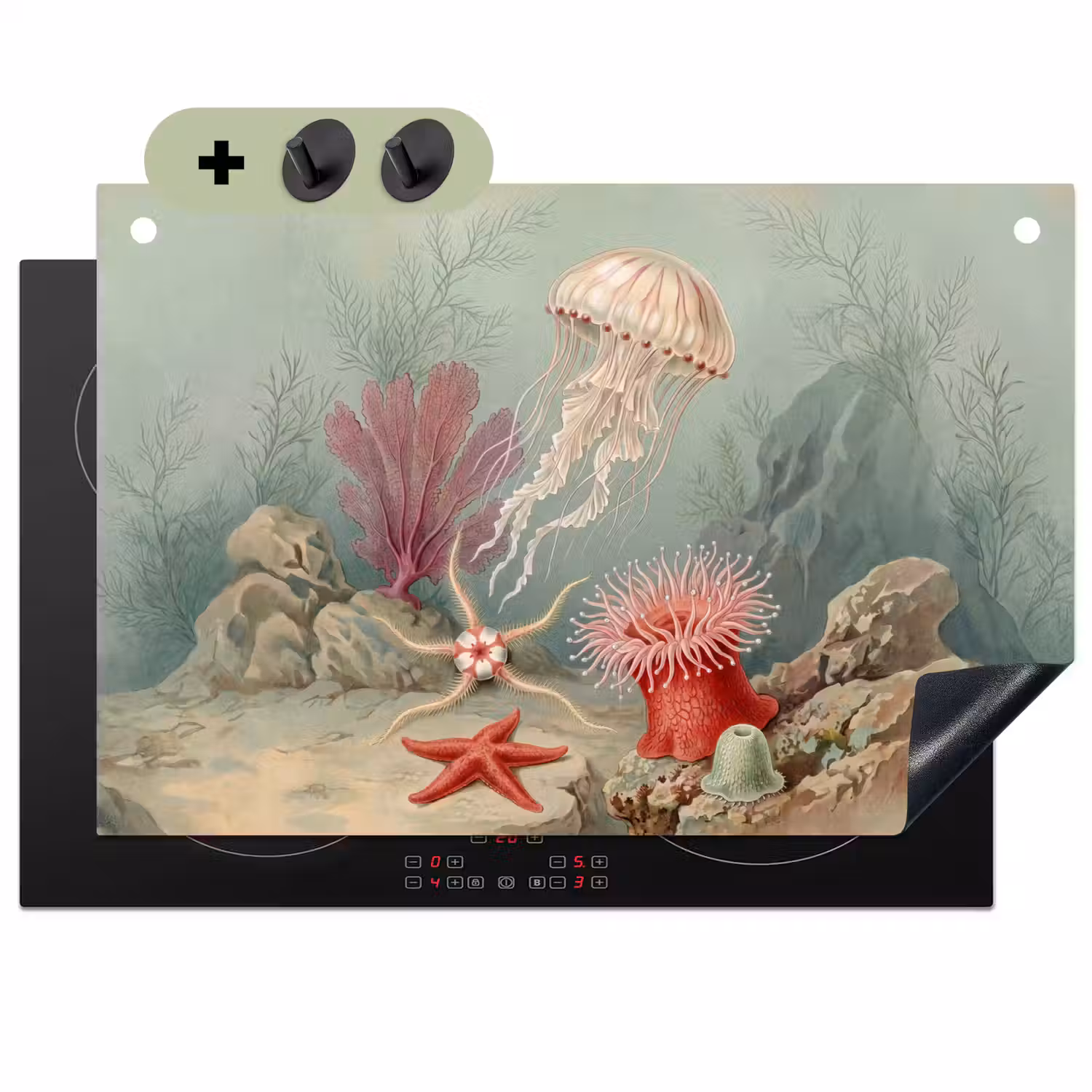 Zeeleven - Kwal - Onderwater - Illustratie - Beige Inductie beschemer met haakjes klein -3d