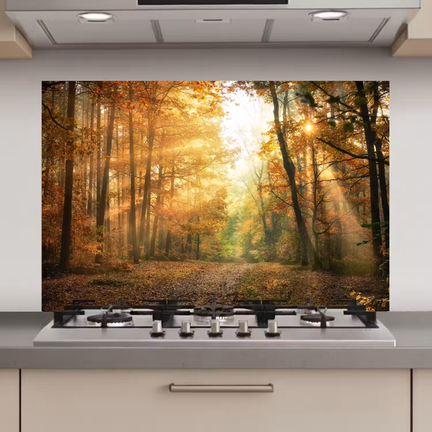 Bos - Herfst - Zon - Landschap - Natuur - Bomen - Bladeren keuken achterwand spatscherm klein -3d_website