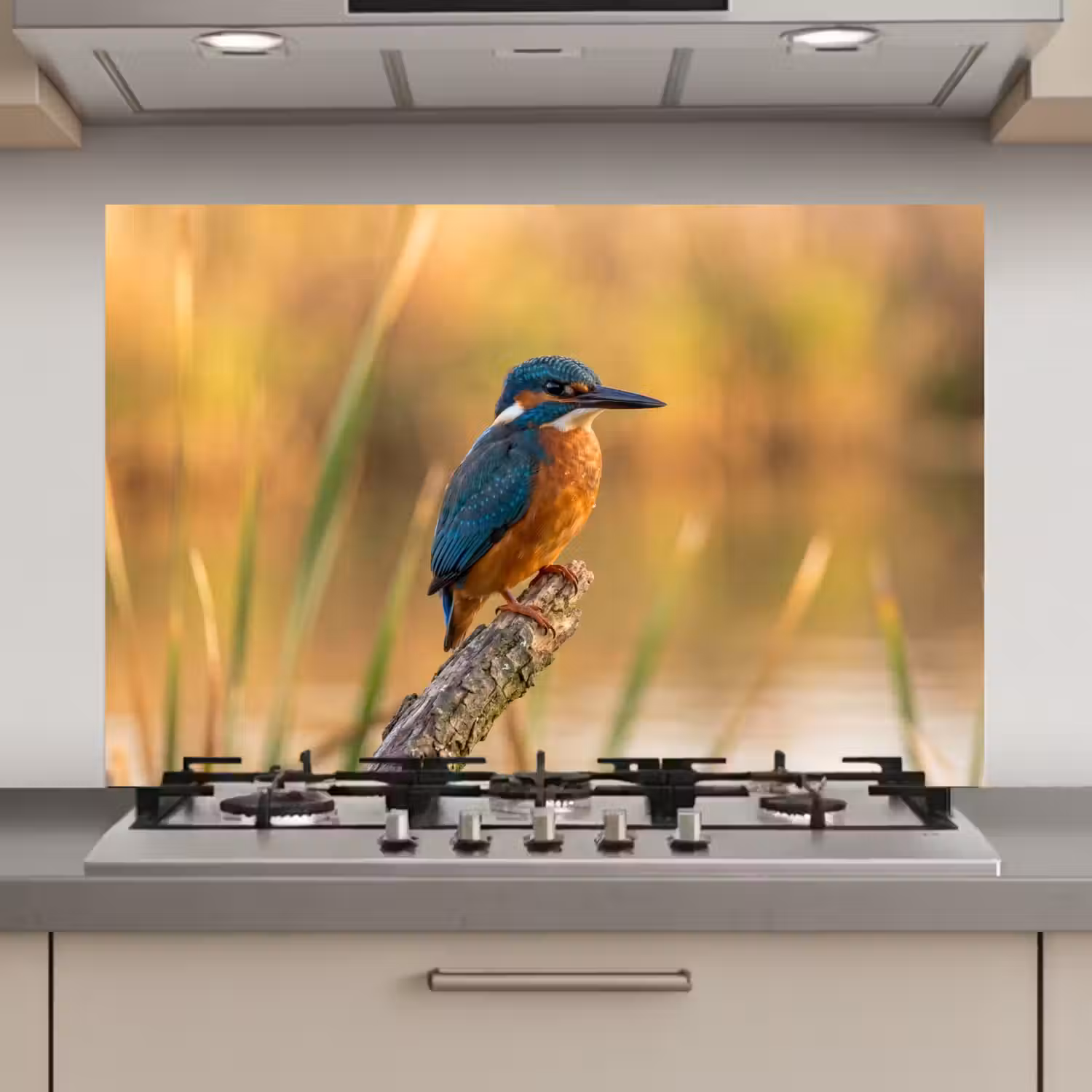 IJsvogel - Tak - Water - Kleurrijk - Levendig keuken achterwand 2 middel zz_3dshopping