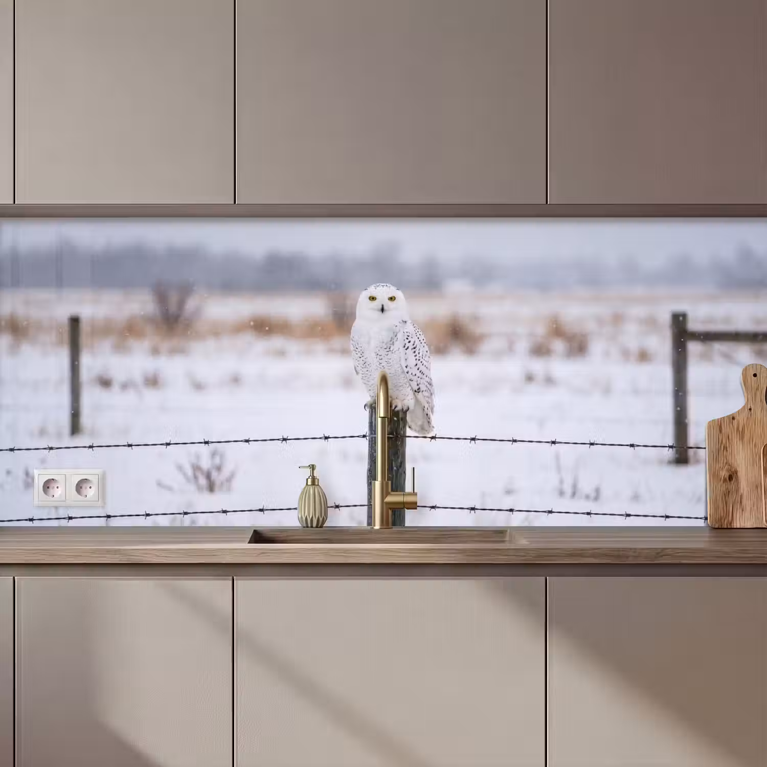 Sneeuwuil - Hek - Sneeuw - Wit keuken achterwand 2 middel zz_3dshopping