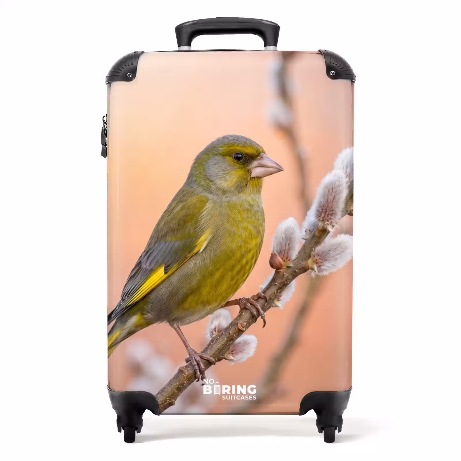 Koffer - Groenling - Katjes - Lente - Natuur - Zacht — 1