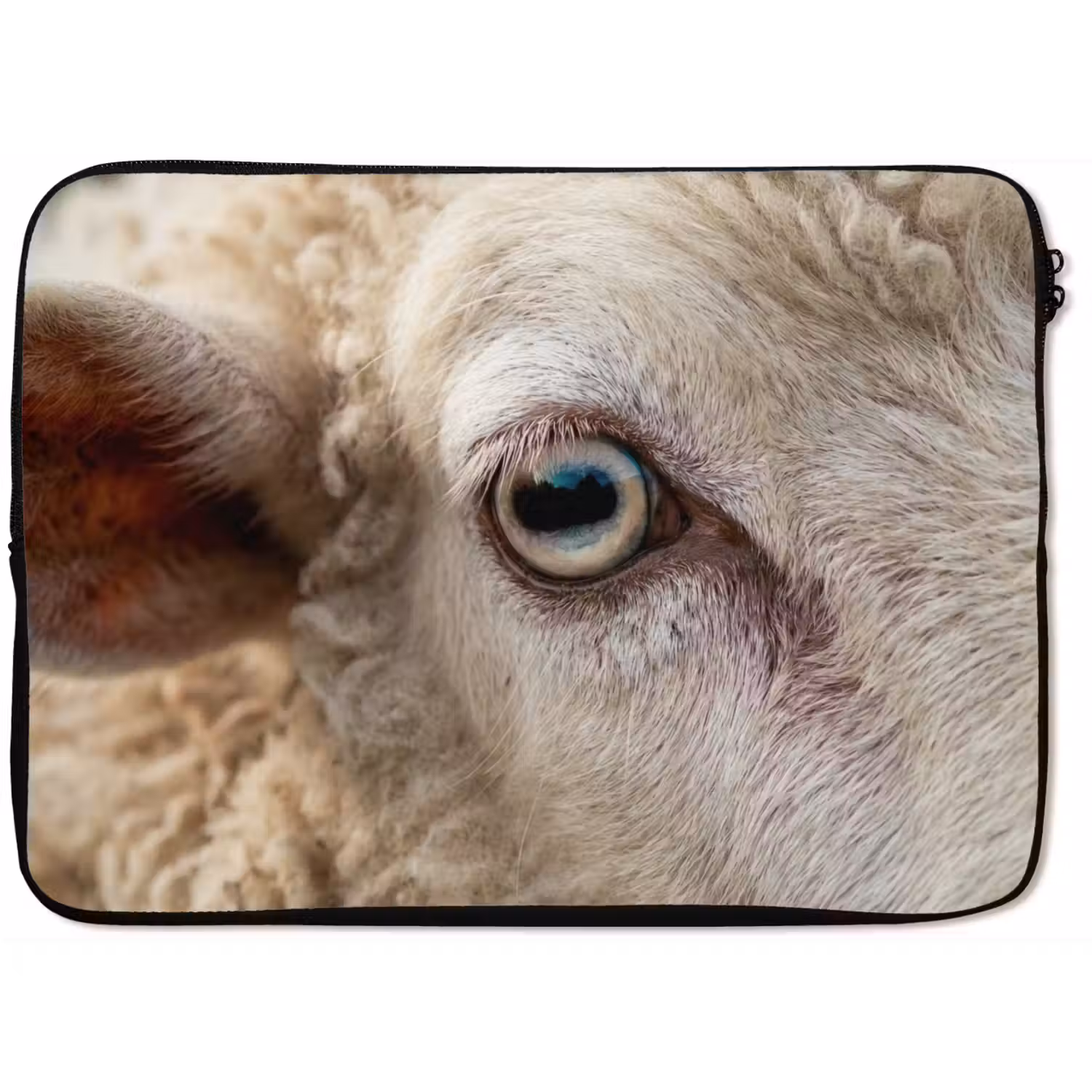 Schaap - Oog - Wit laptophoes neopreen klein -zkaufland3dotto
