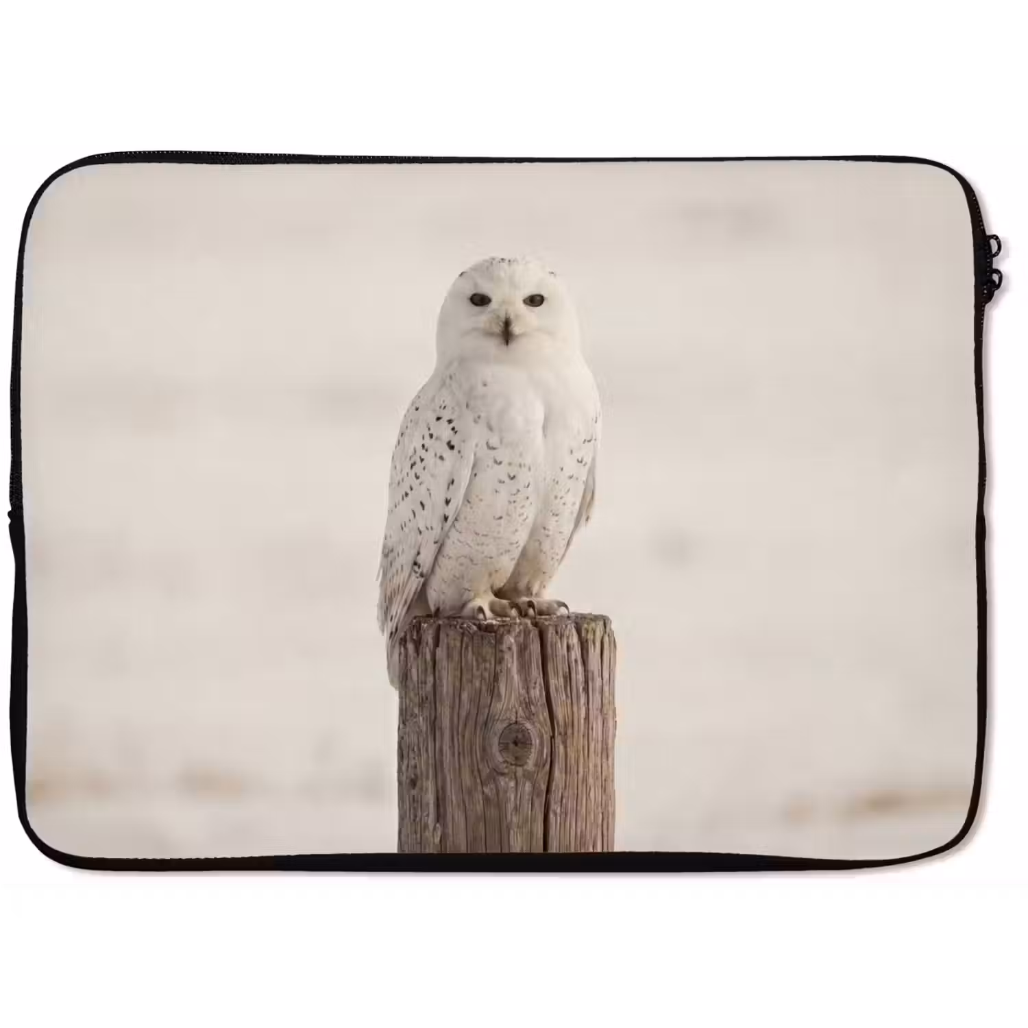 Sneeuwuil - Paal - Winter - Portret - Majestueus laptophoes neopreen klein -zkaufland3dotto