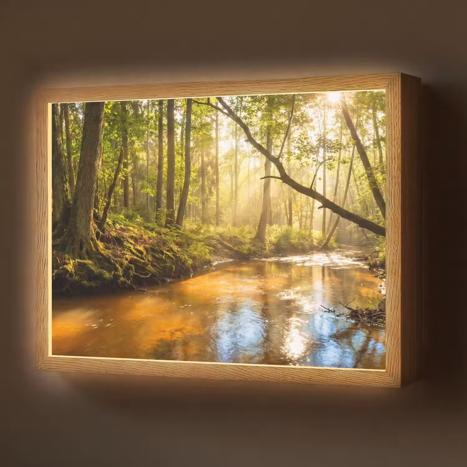 Bos - Beek - Zonlicht - Natuur - Groen Light Box met batterij (Wandlamp) middel -z3d_website