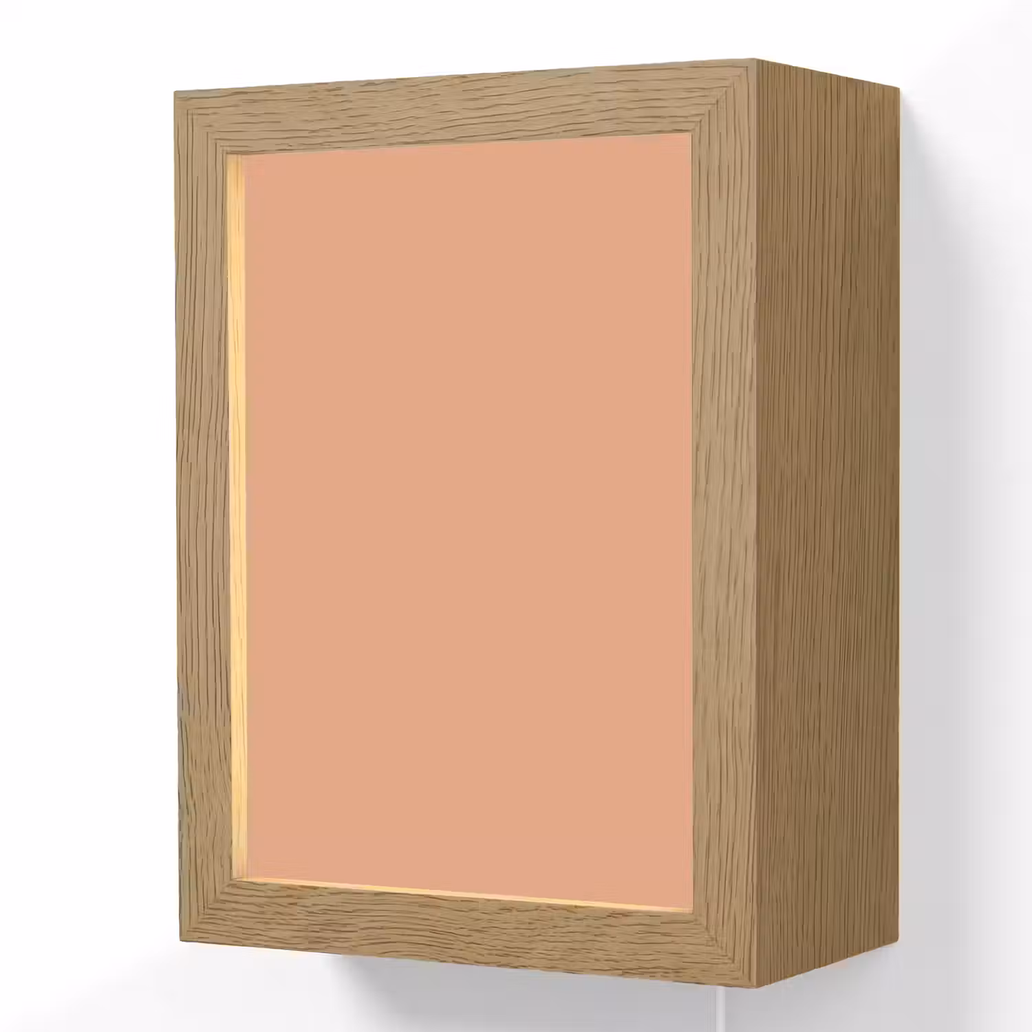 Desert - Coral - Koraal Light Box met kabel (Wandlamp) klein 929 -3d