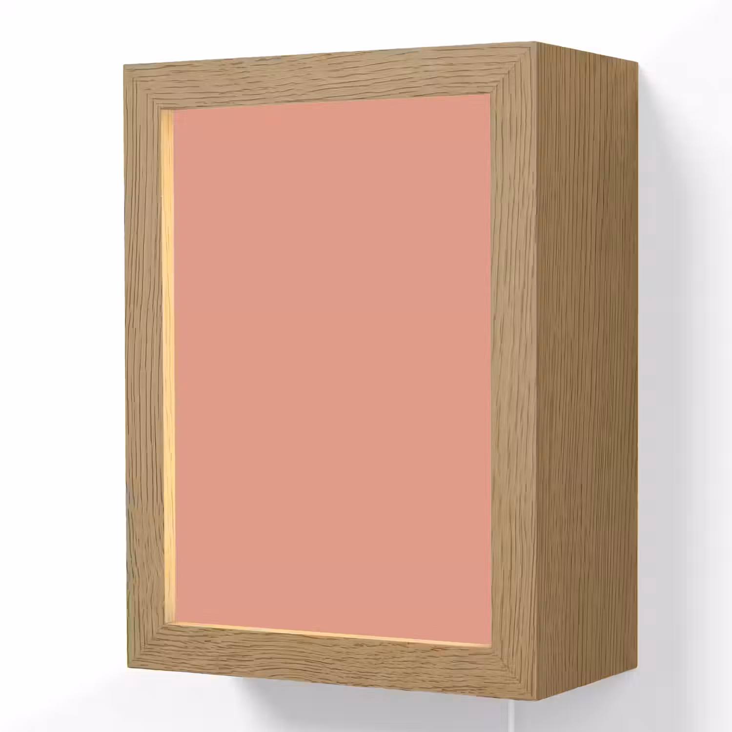 Earthy - Rose - Koraal Light Box met kabel (Wandlamp) klein 929 -3d
