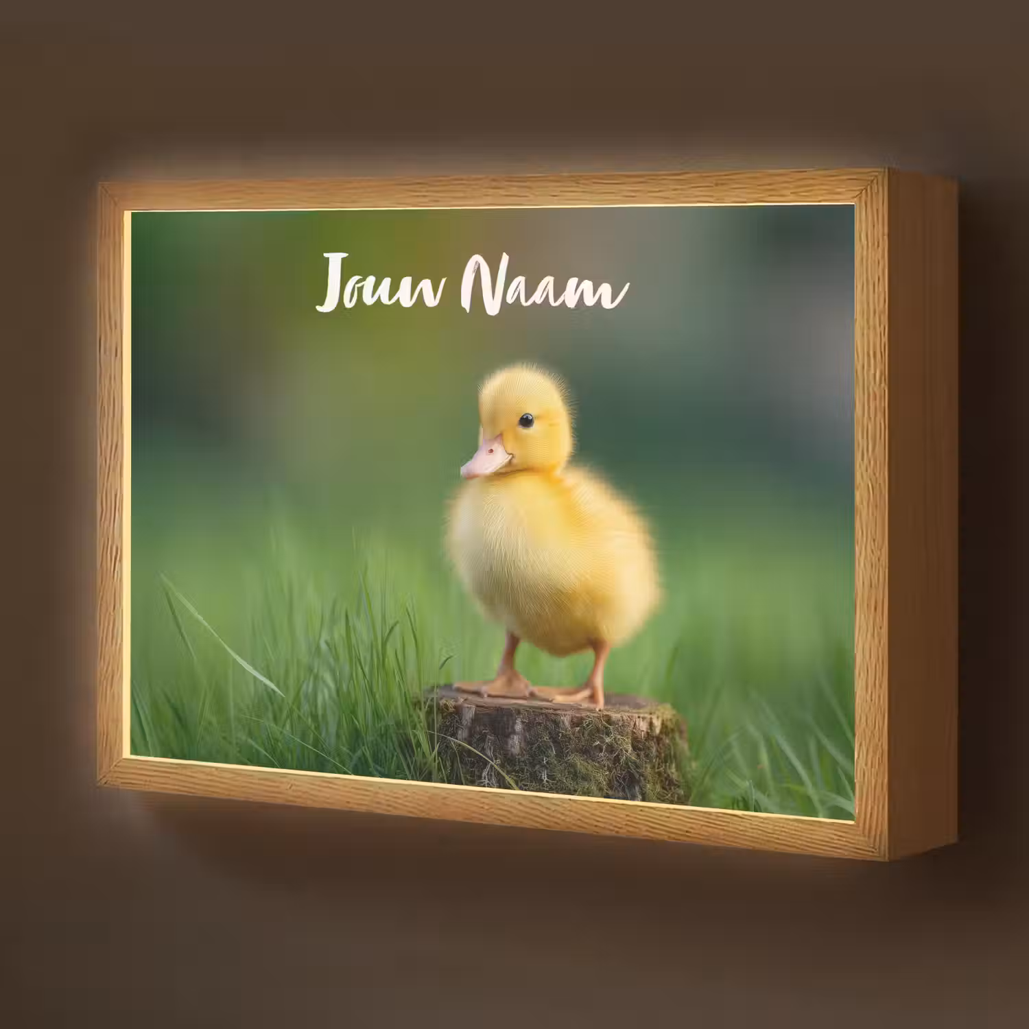 Kuiken - Eend - Geel - Gras Light Box met batterij (Wandlamp kind) middel -z3d_website