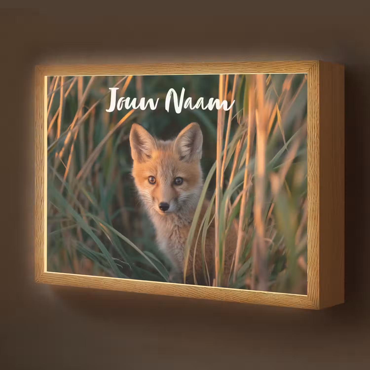 Vos - Oranje - Gras Light Box met batterij (Wandlamp kind) middel -z3d_website