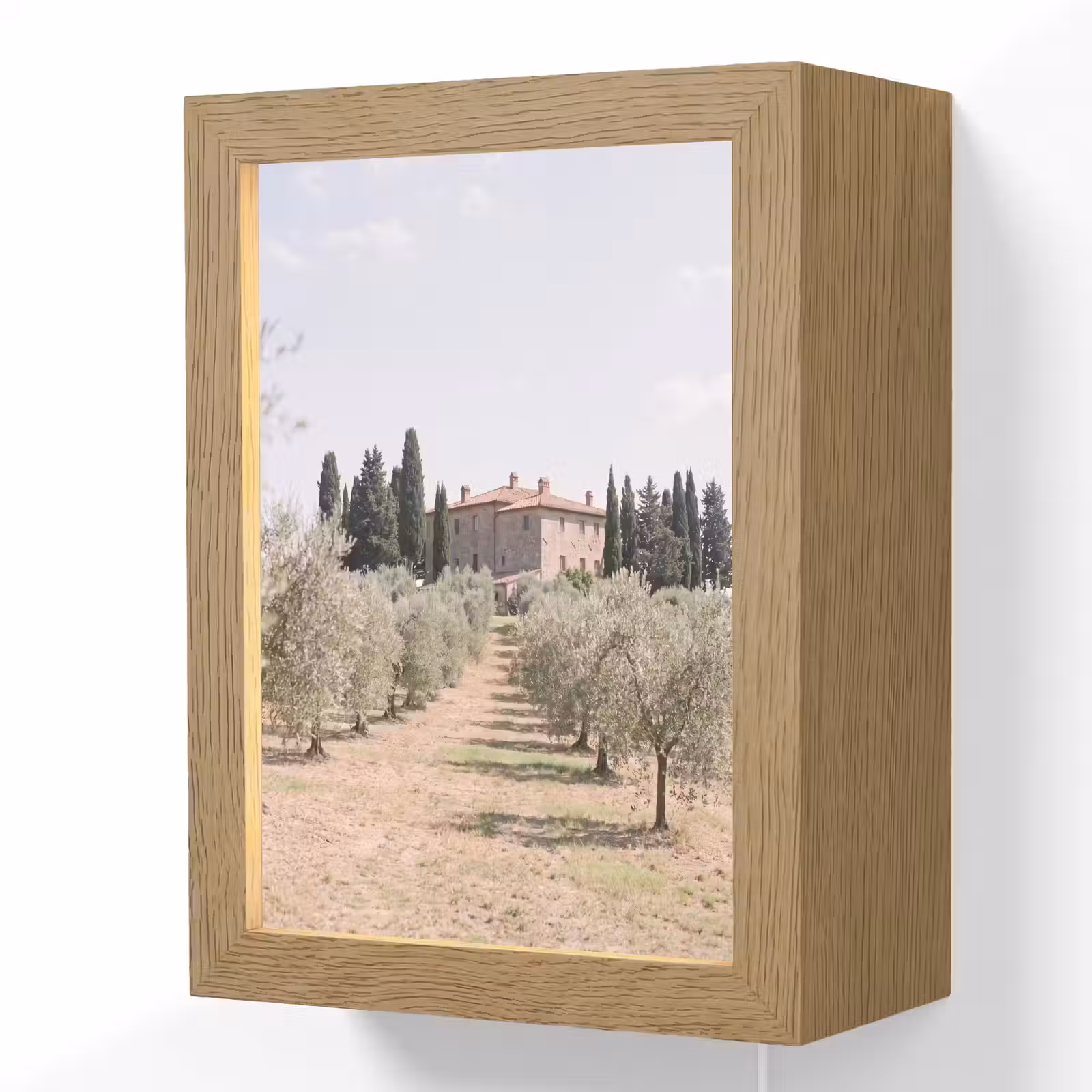 Lightbox - Wandlamp - Landhuis - olijfboom - gaard - Landhuis - olijfboom - gaard Light Box met kabel (Wandlamp) klein