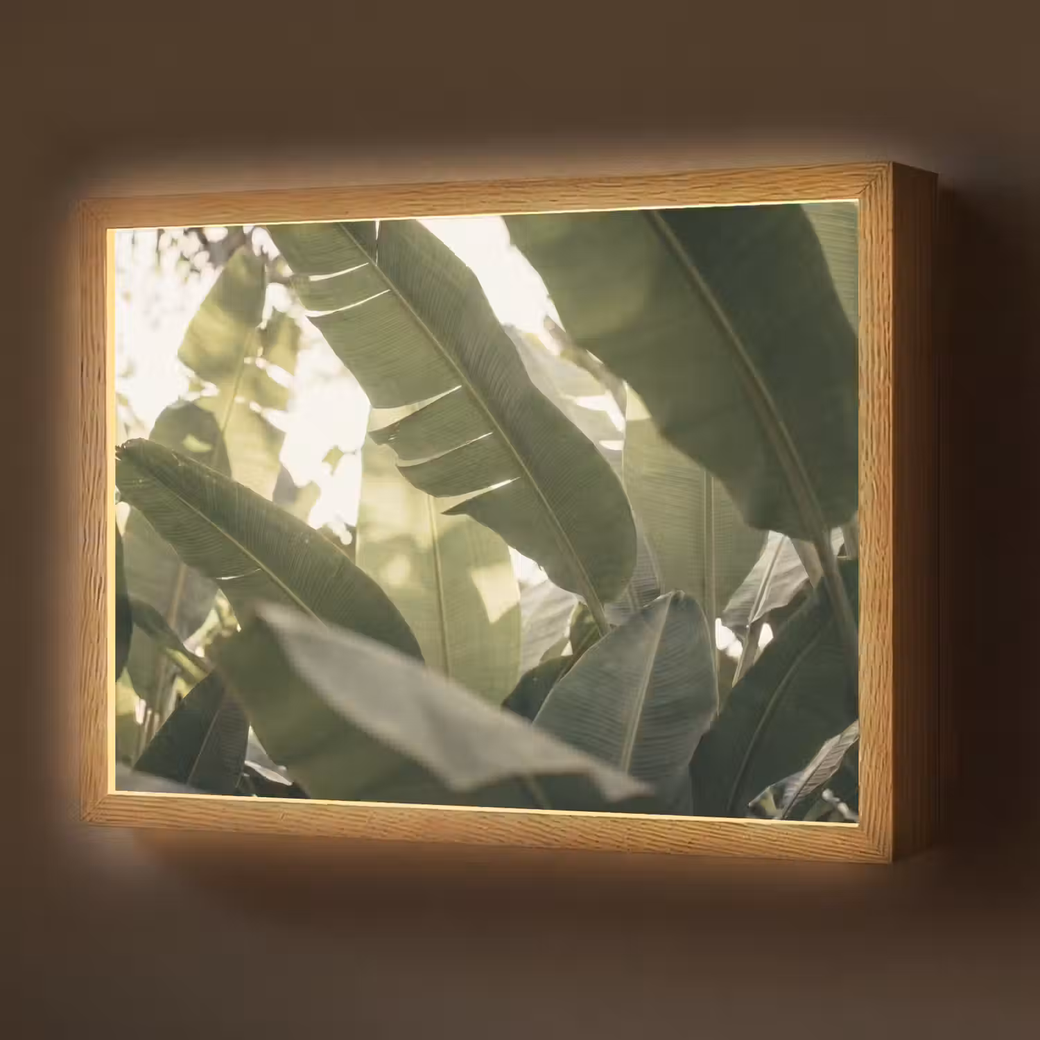 Natuur - Bladeren - Groen - Tropisch - Detail Light Box met batterij (Wandlamp) middel -z3d_website