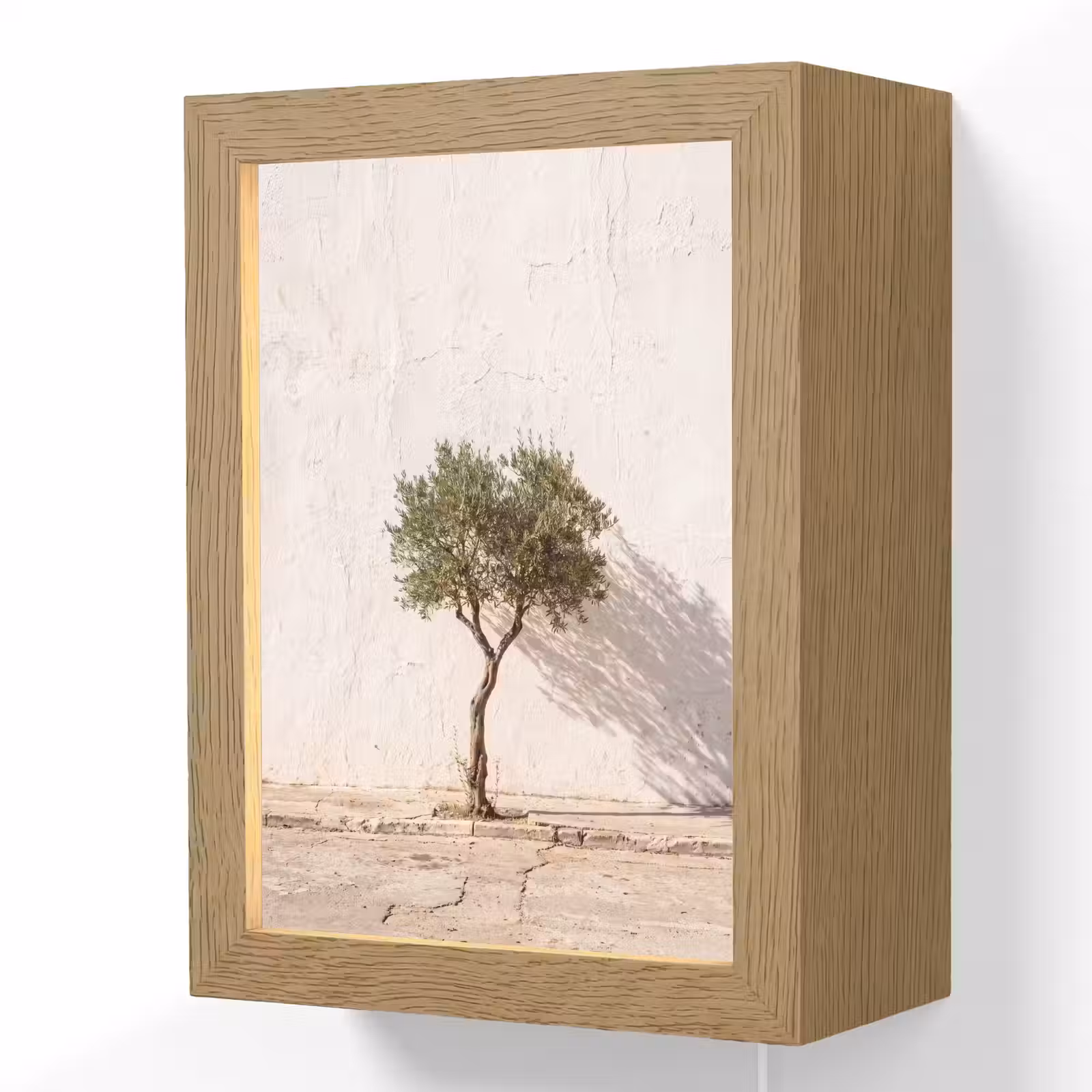 Lightbox - Wandlamp - Olijfboom - muur - wit - Olijfboom - muur - wit Light Box met kabel (Wandlamp) klein