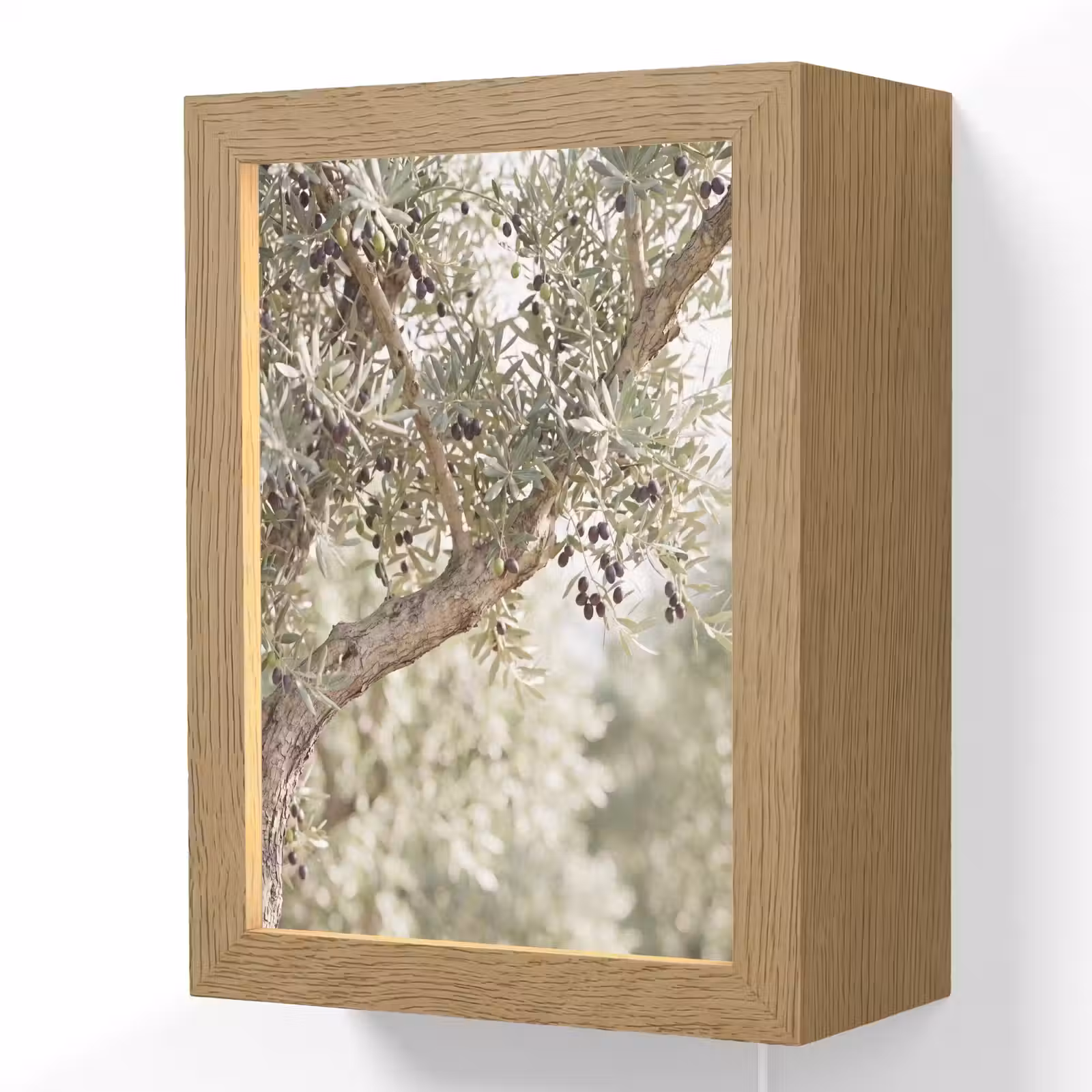 Lightbox - Wandlamp - Olijfboom - tak - groen - Olijfboom - tak - groen Light Box met kabel (Wandlamp) klein